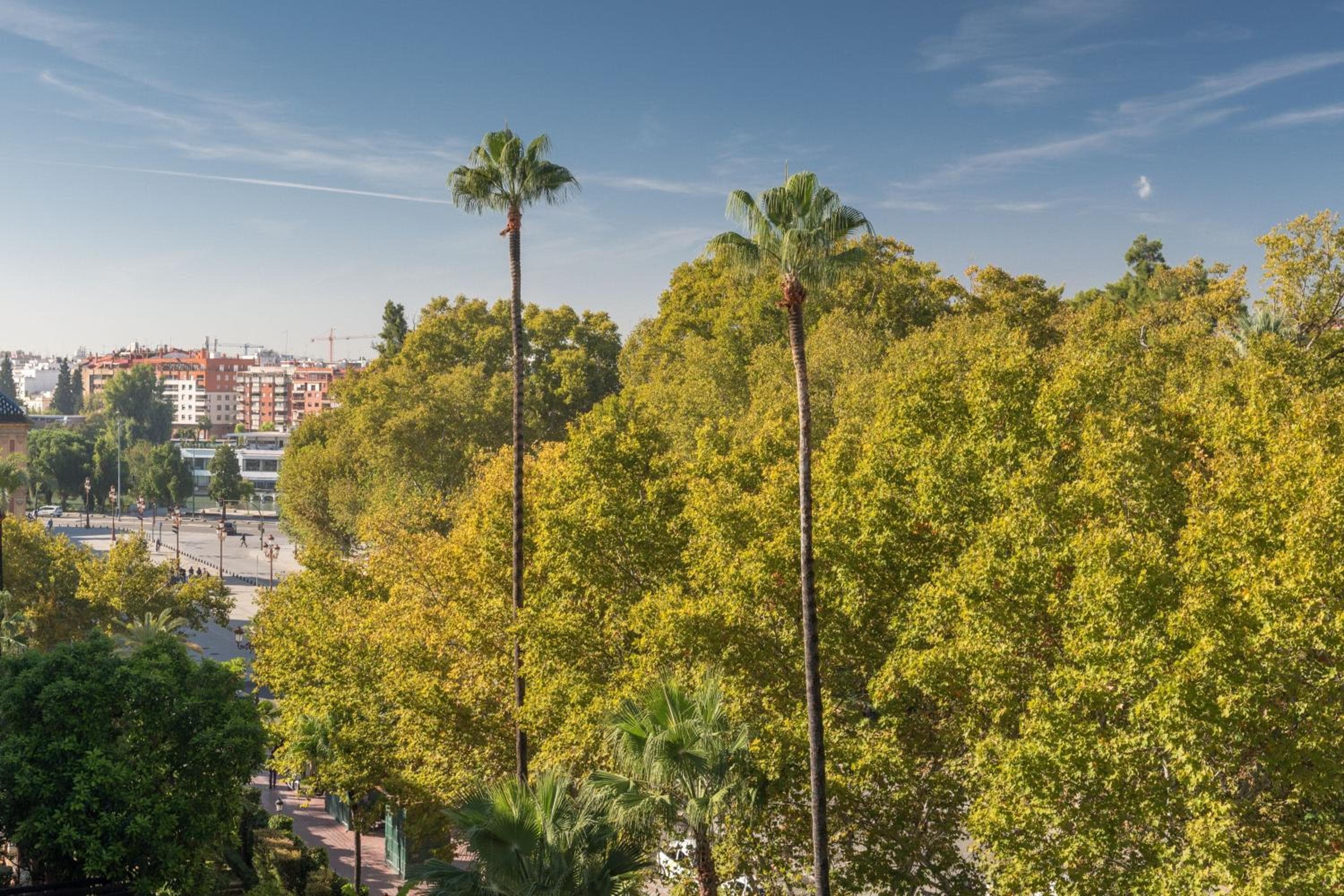 Hotel Alfonso XIII, a Luxury Collection Hotel, Seville — 21