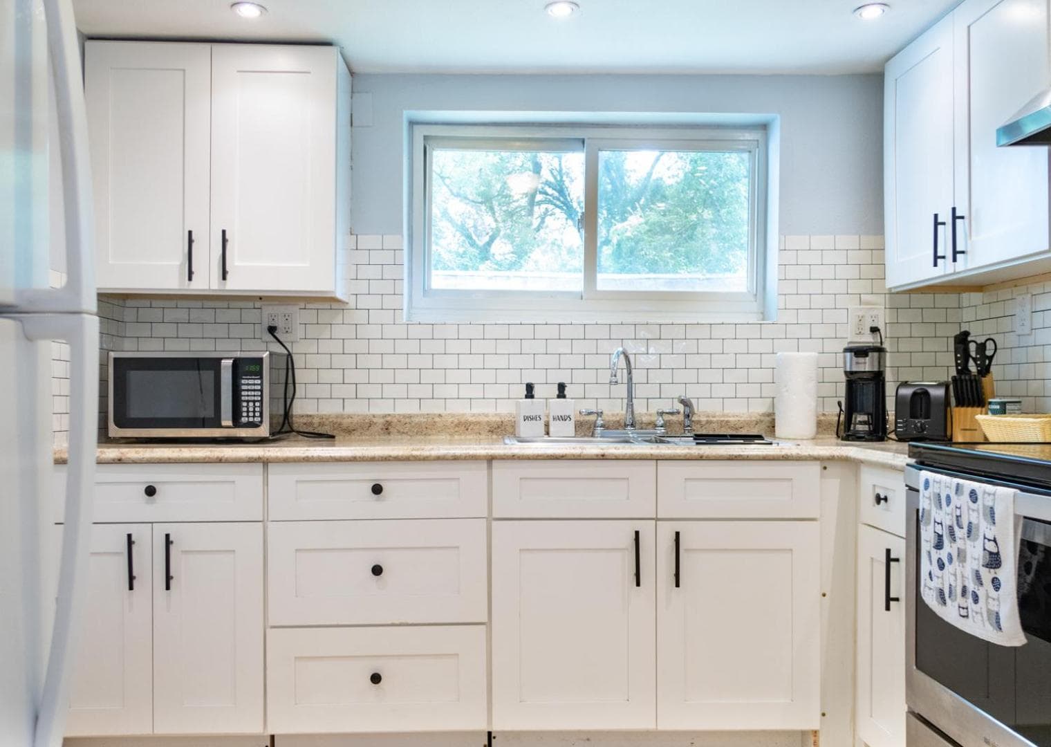 Cozy Home near Busch Gardens Adventure Island and USF — 3