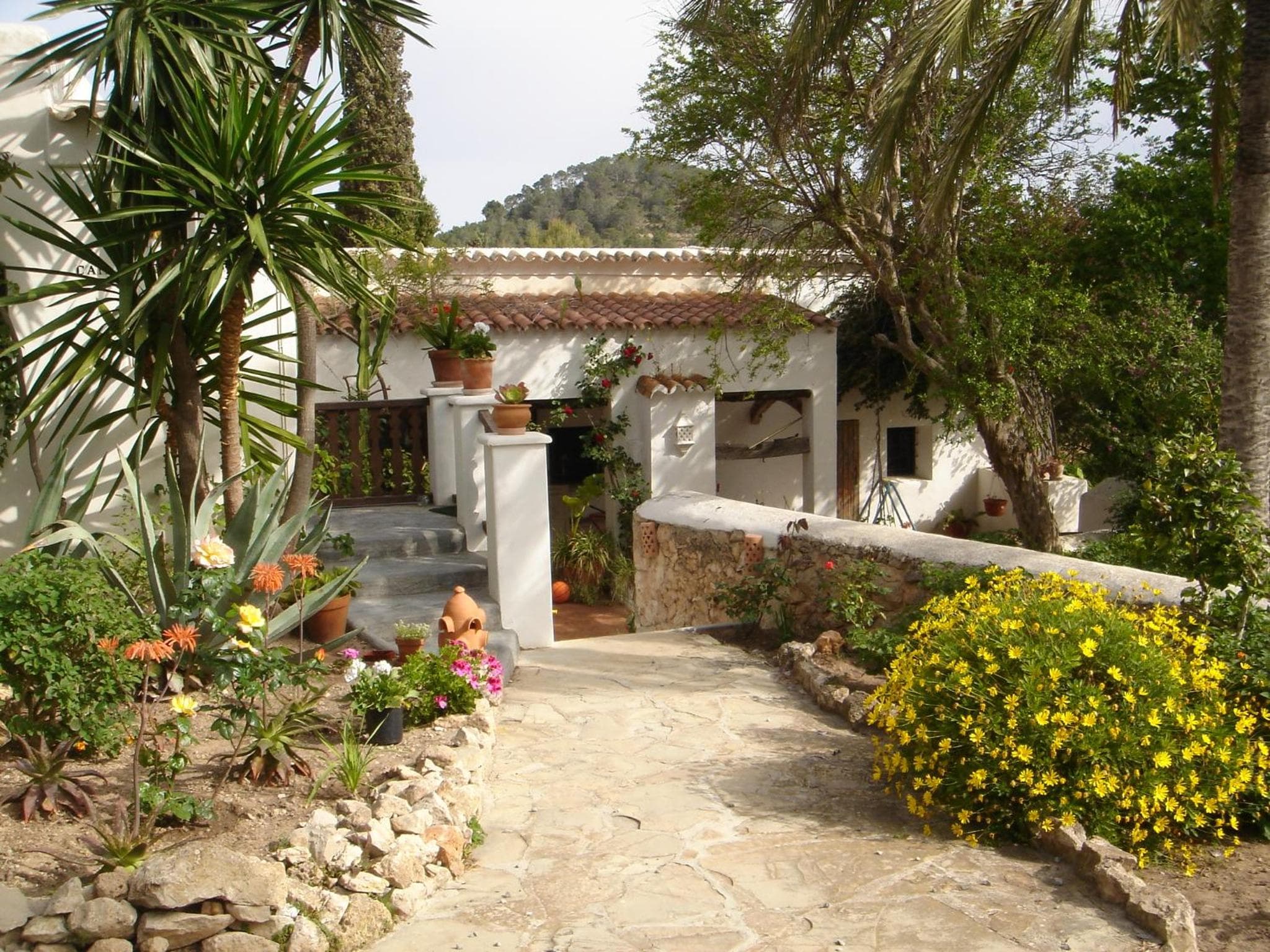 Charming Ibiza House — 10