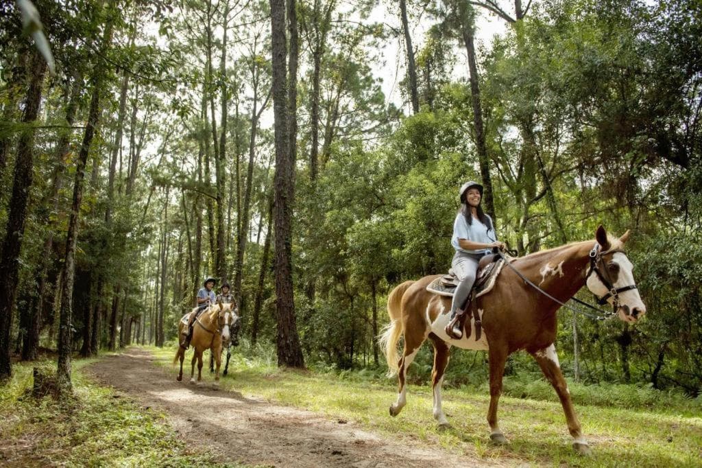 The Cabins at Disney's Fort Wilderness Resort — 18