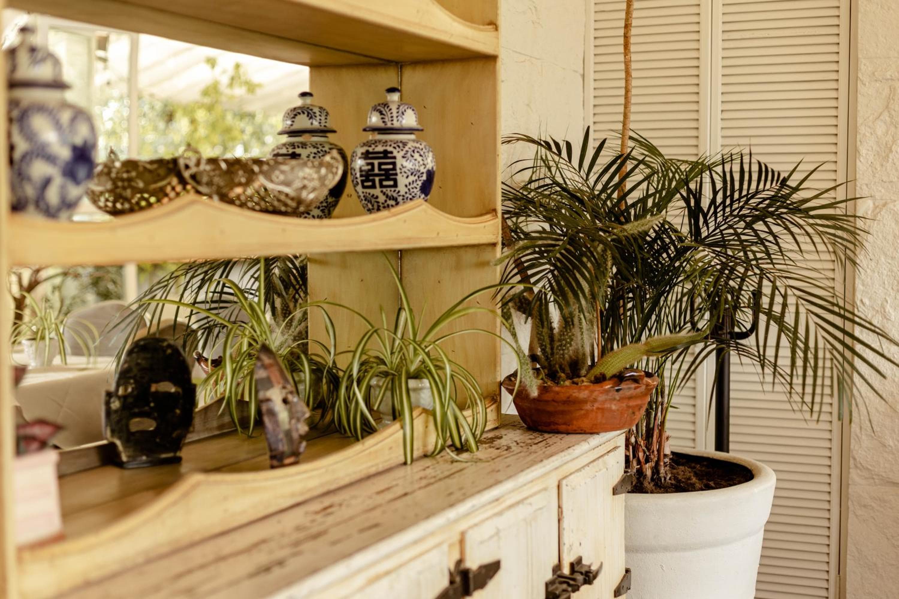 Maria Condesa Boutique — 25