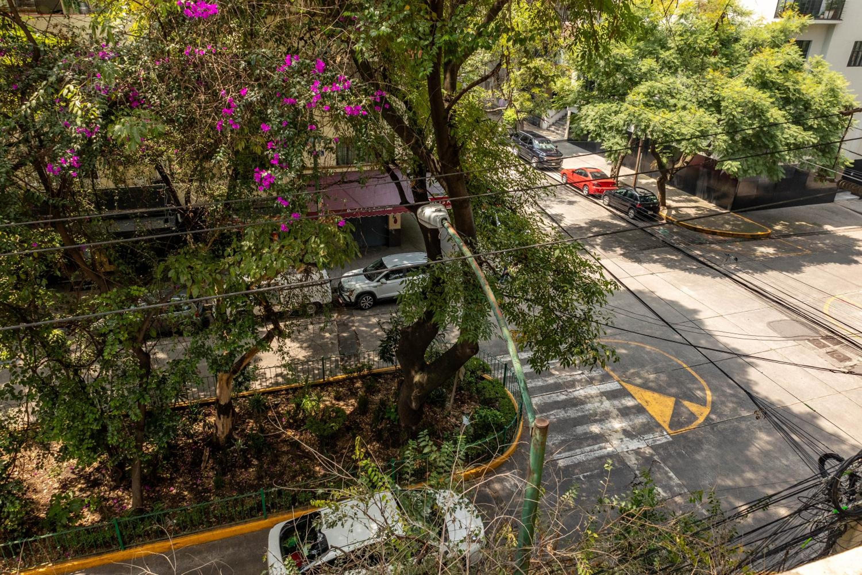 Maria Condesa Boutique — 26