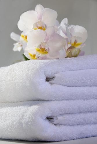 Maree Inn Hotel — 21