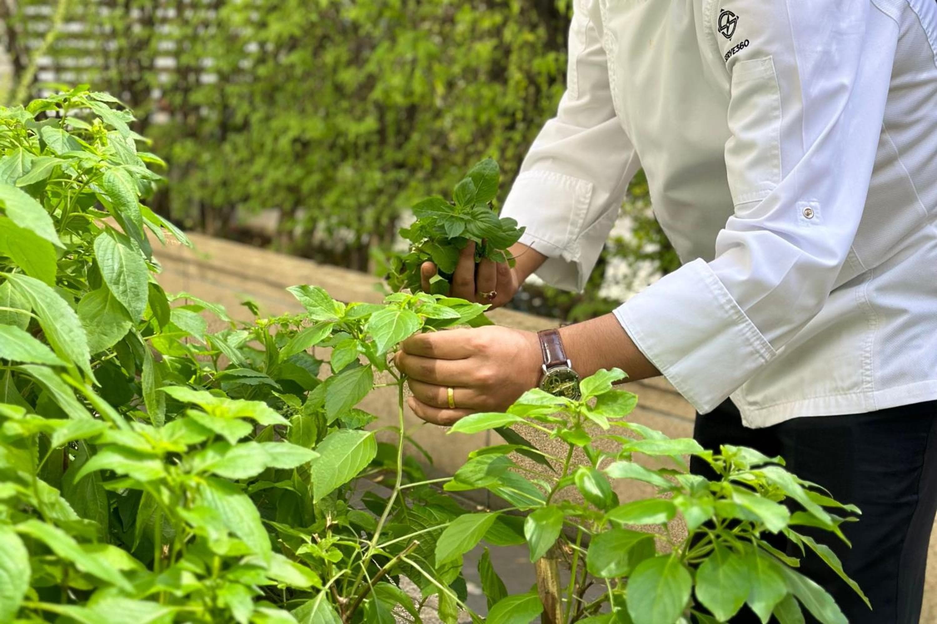 Courtyard by Marriott Bangkok — 30