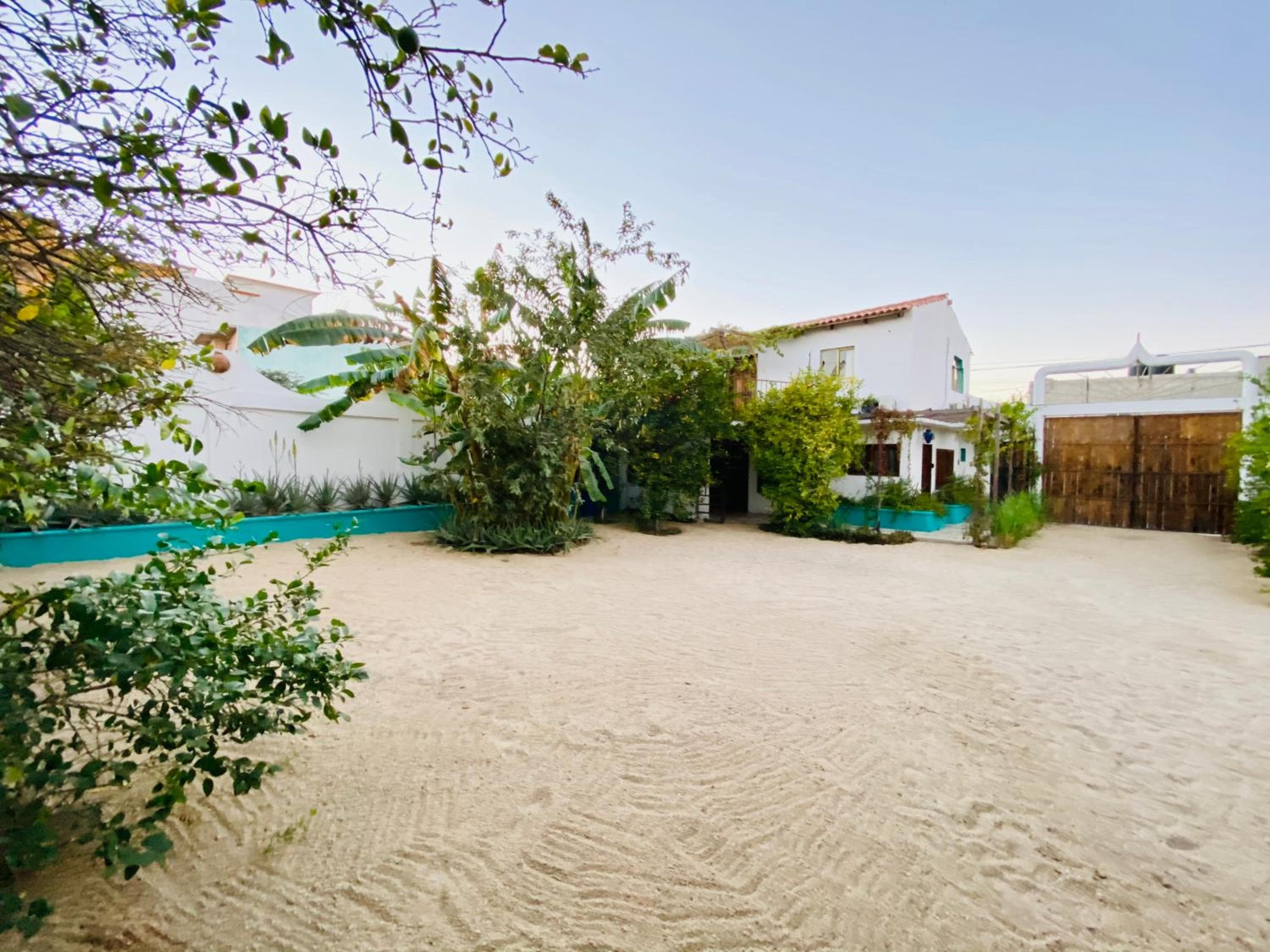 CABO BOHEMIA Tropische Gartenstudios — 4