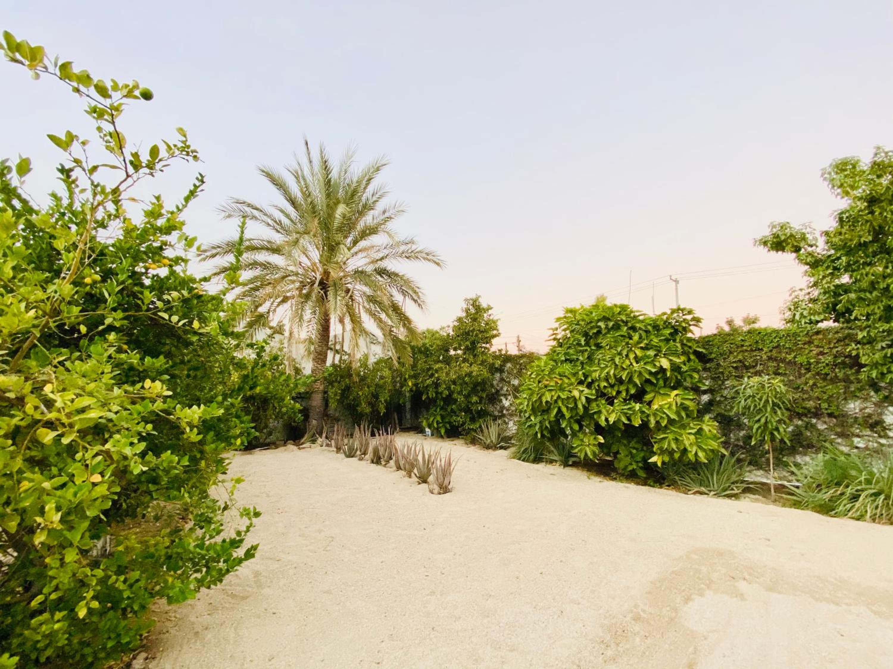 CABO BOHEMIA Tropische Gartenstudios — 6