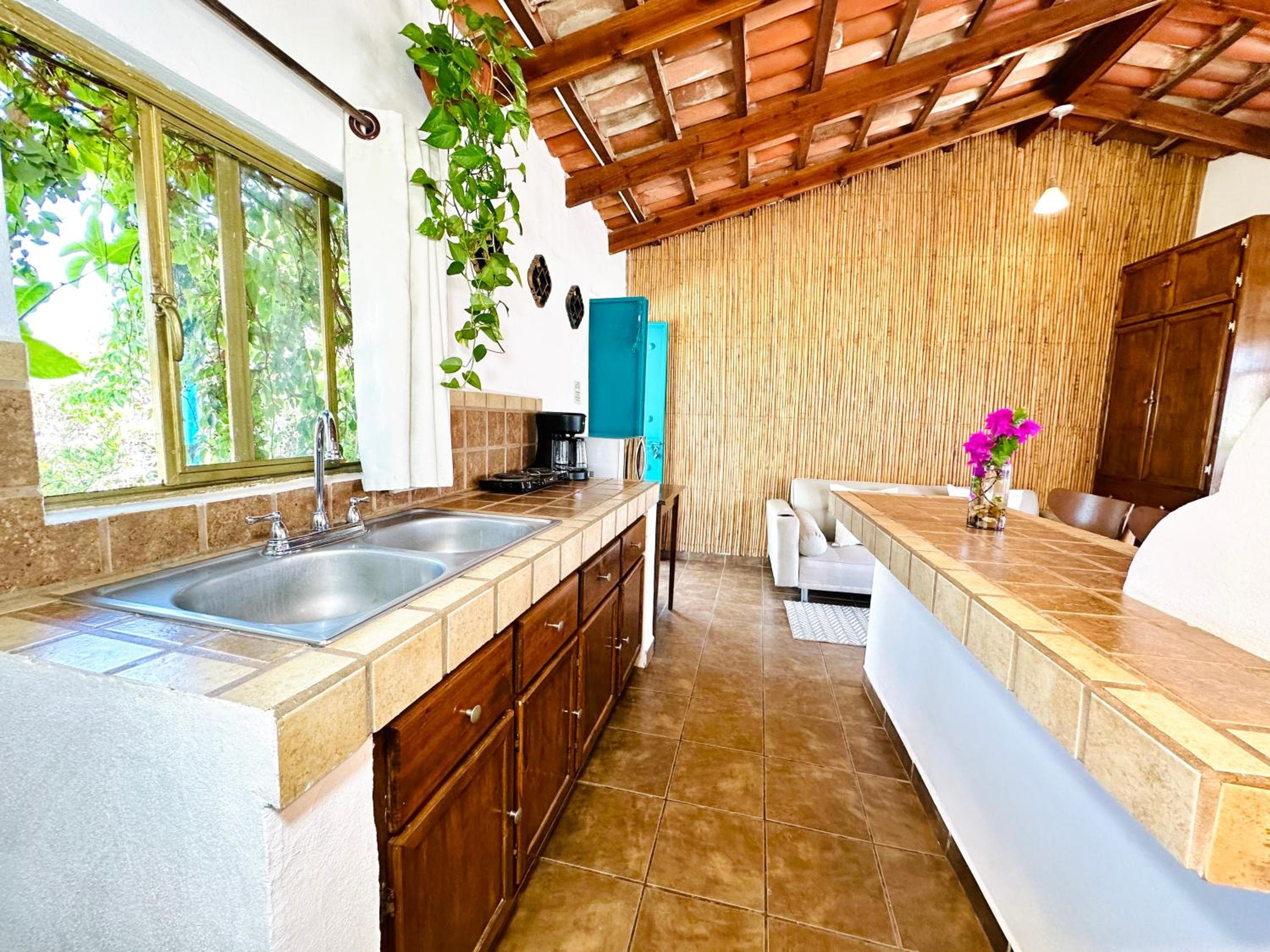 CABO BOHEMIA Tropische Gartenstudios — 2