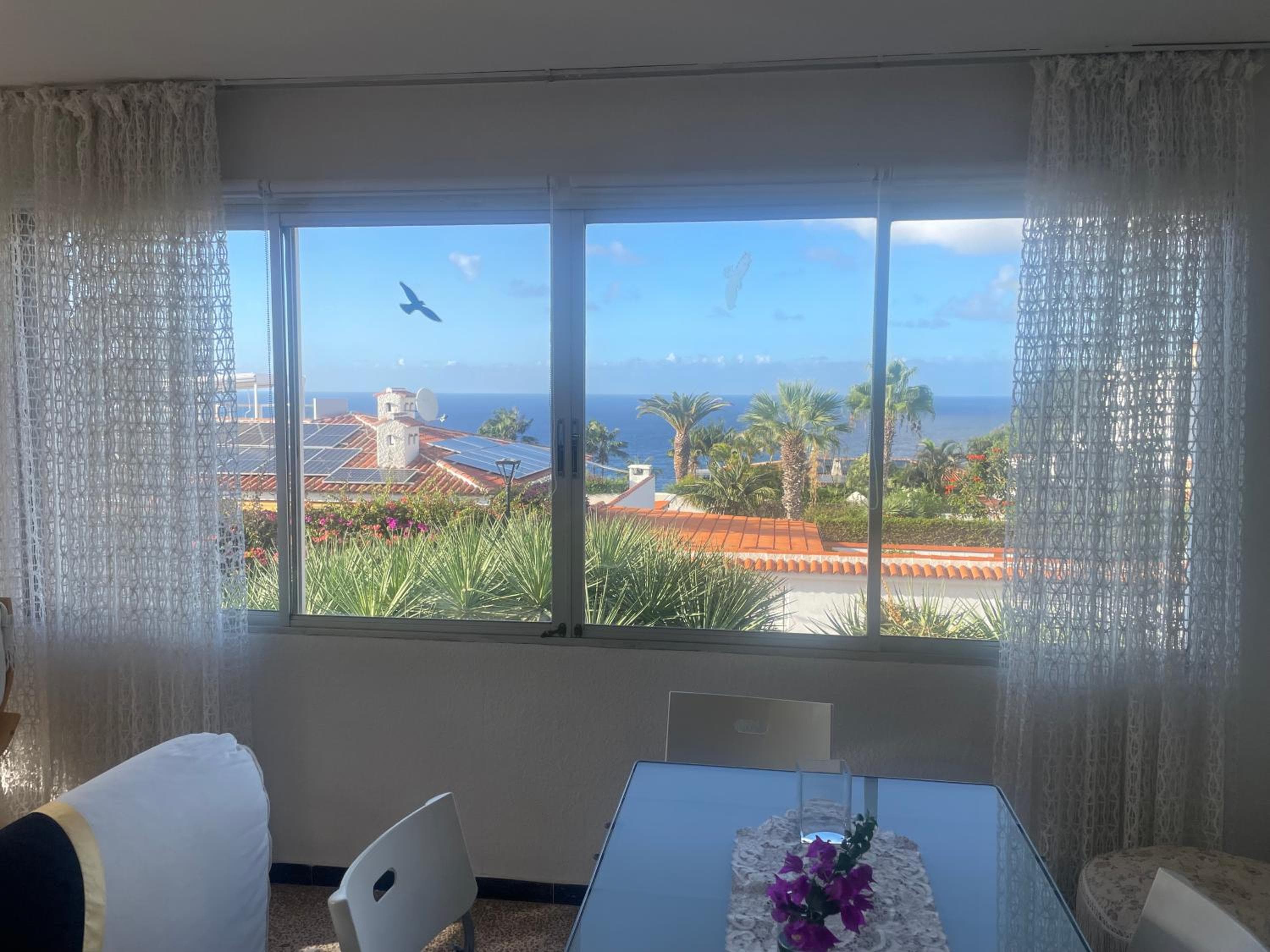 Teide & Atlantic View — 1