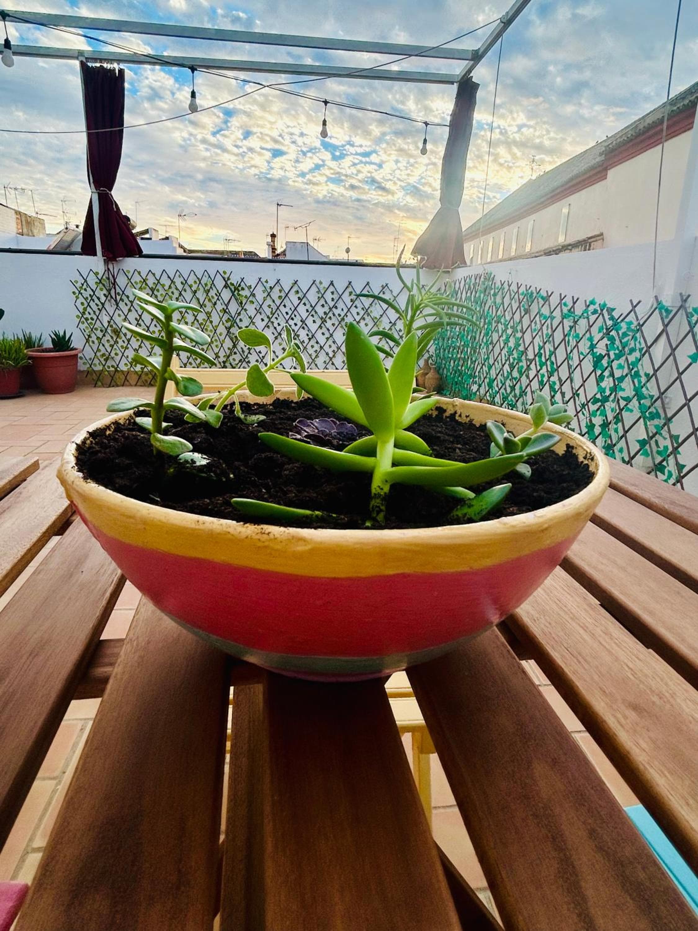La Azotea del Sol — 4