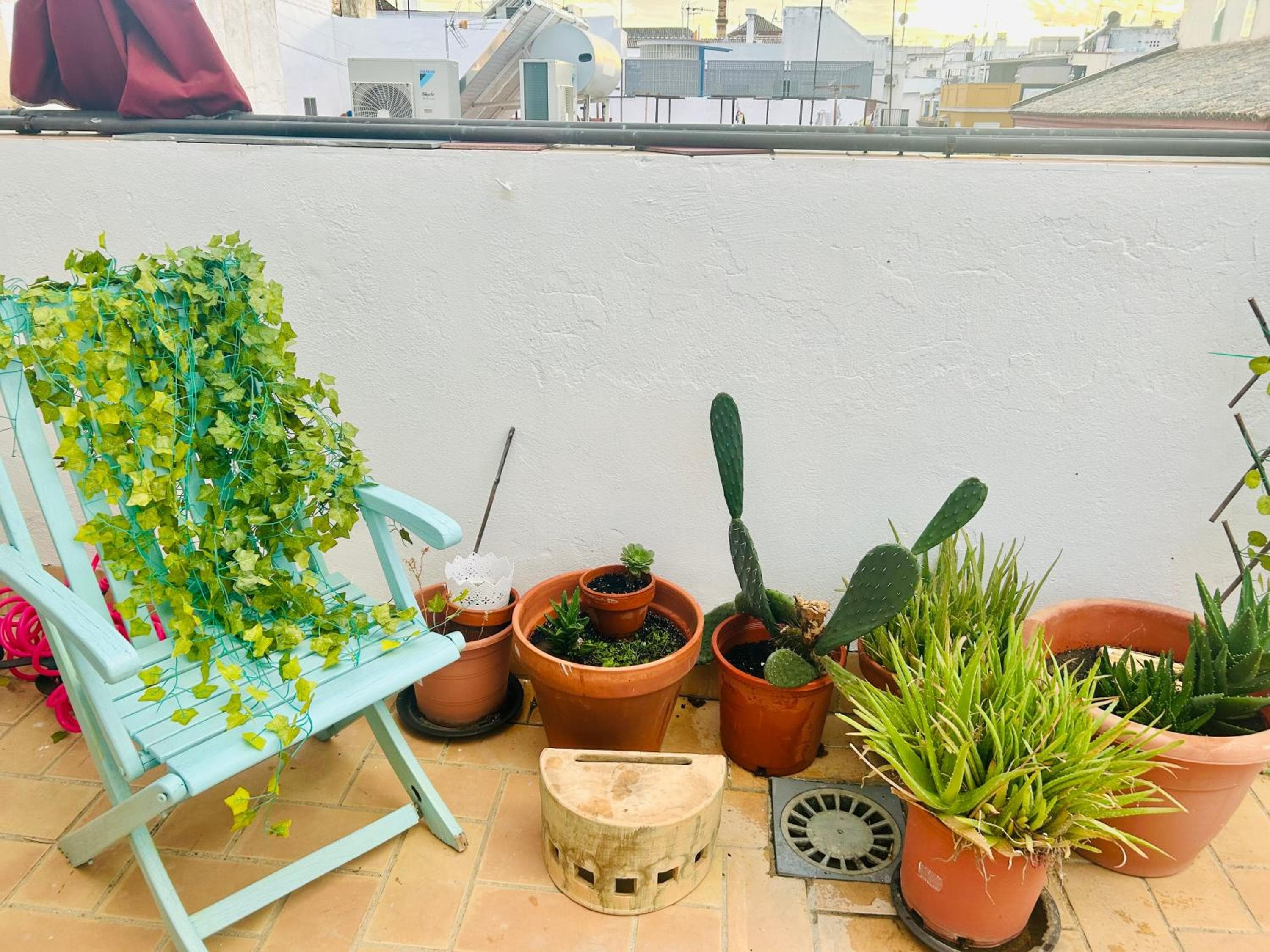 La Azotea del Sol — 19