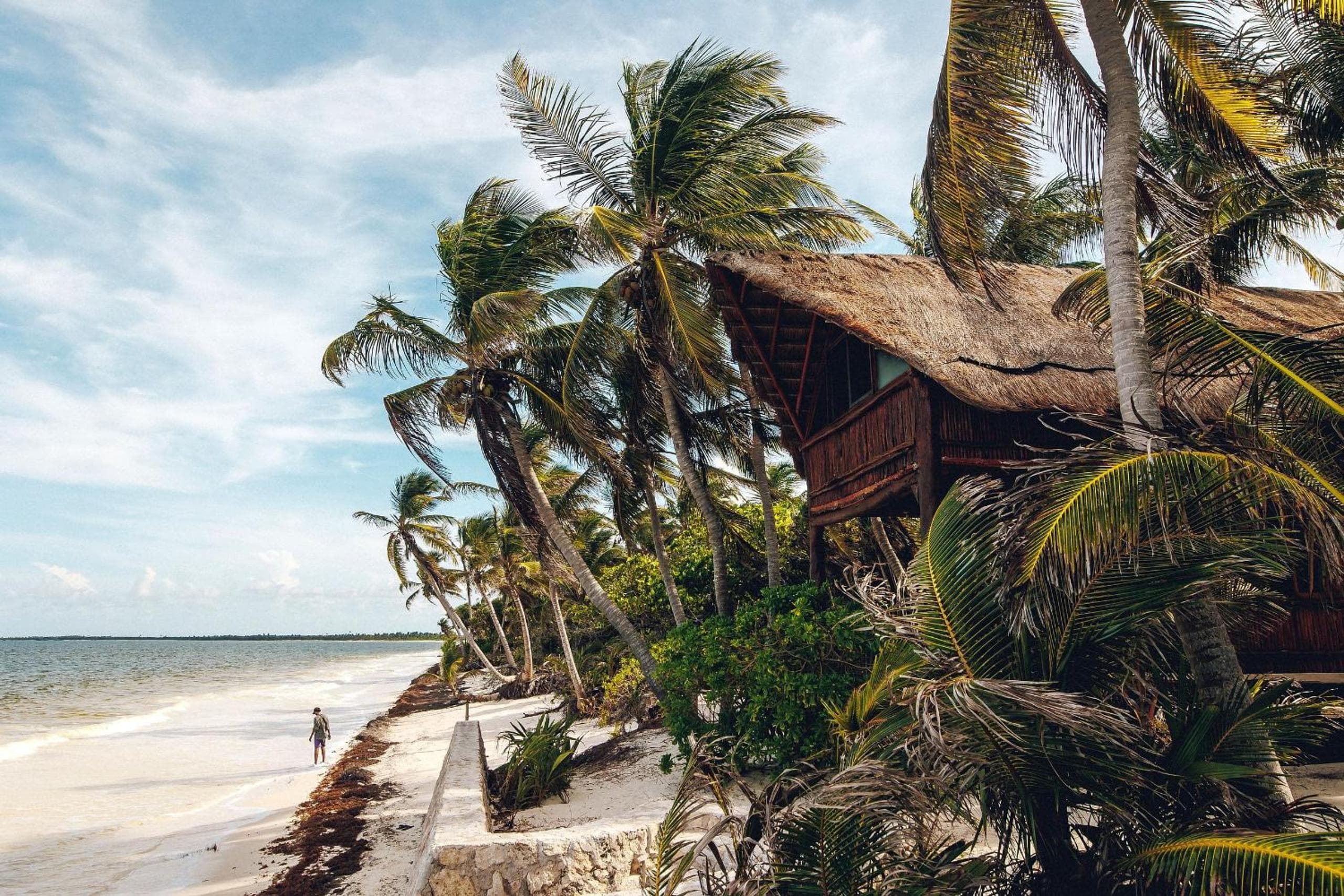 Amazing ECO Palapa at Private Beach in Sian Kaan. — 8