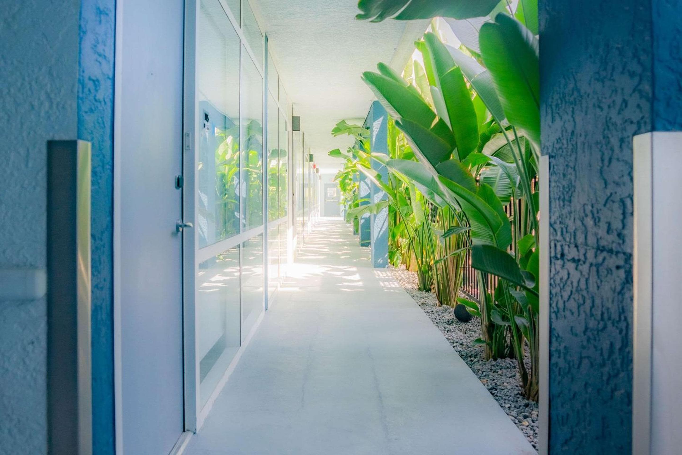DASKK Orlando Hotel near Universal Blvd, an Ascend Collection Hotel — 13