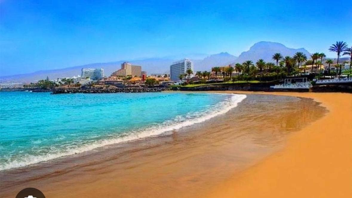 BLUEBIRD Luxury apartment in Las Americas — 1