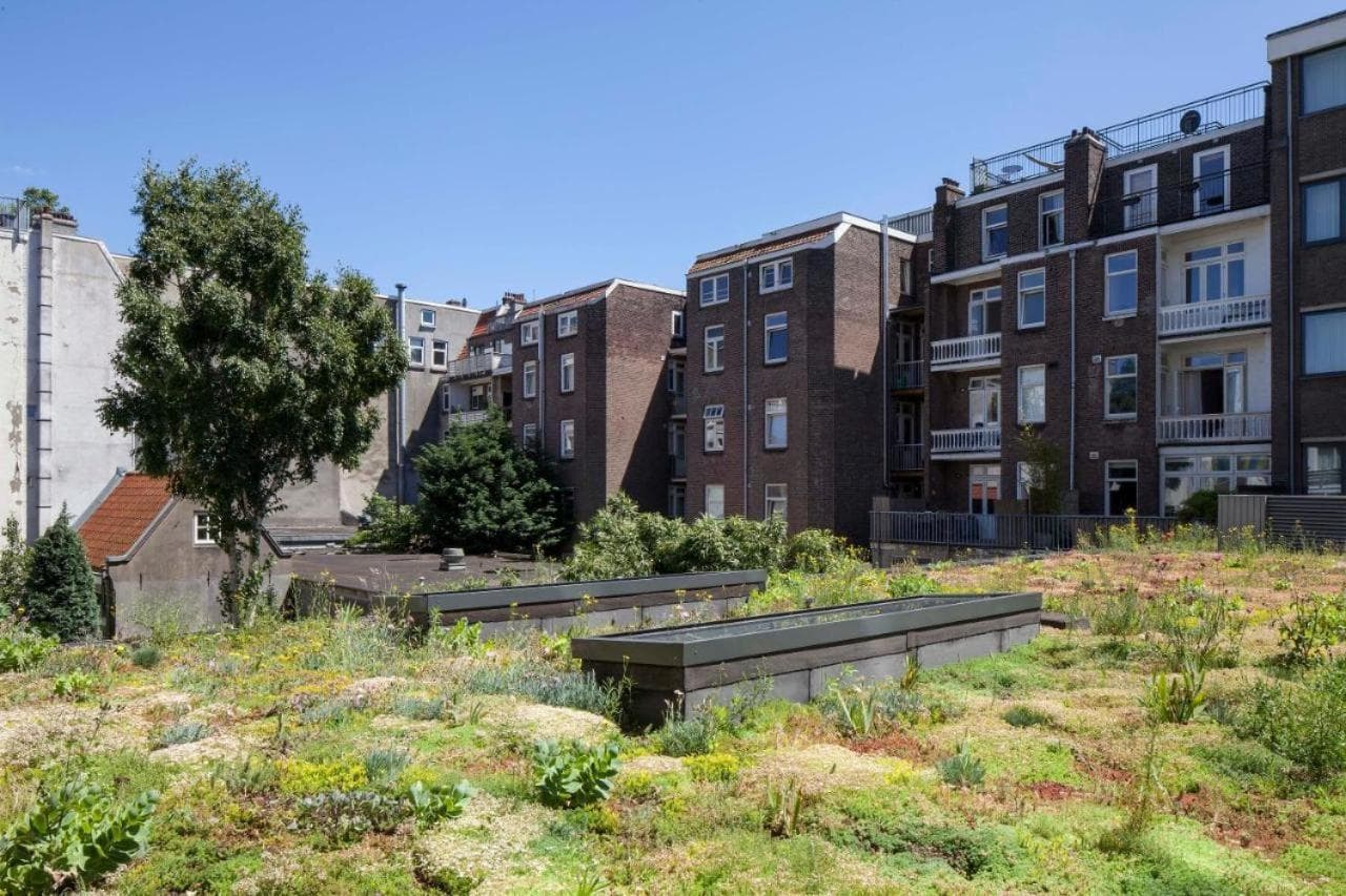 Conscious Hotel Vondelpark — 8