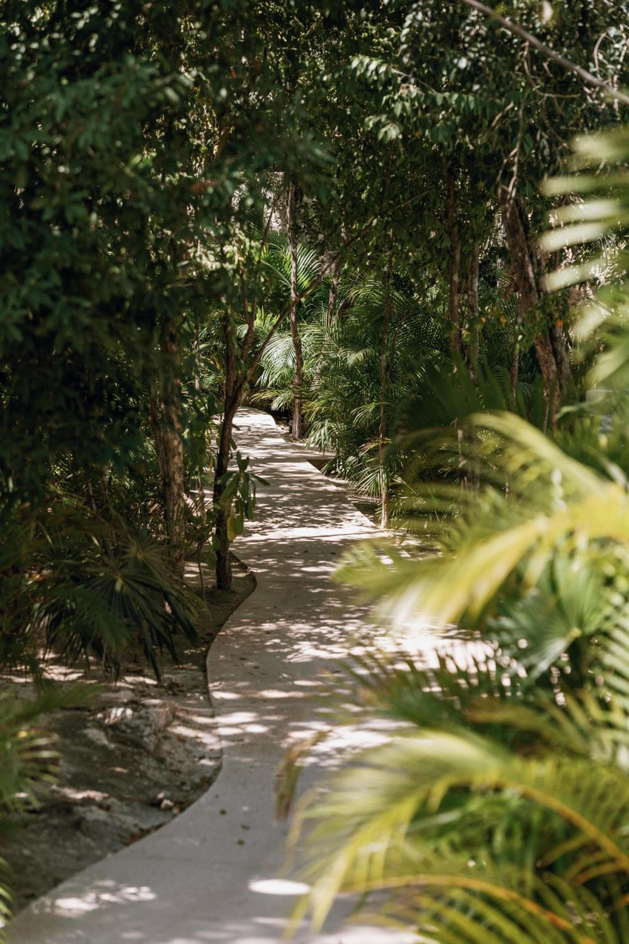 Seremonia Studios by Vida de Playa Rentals — 5