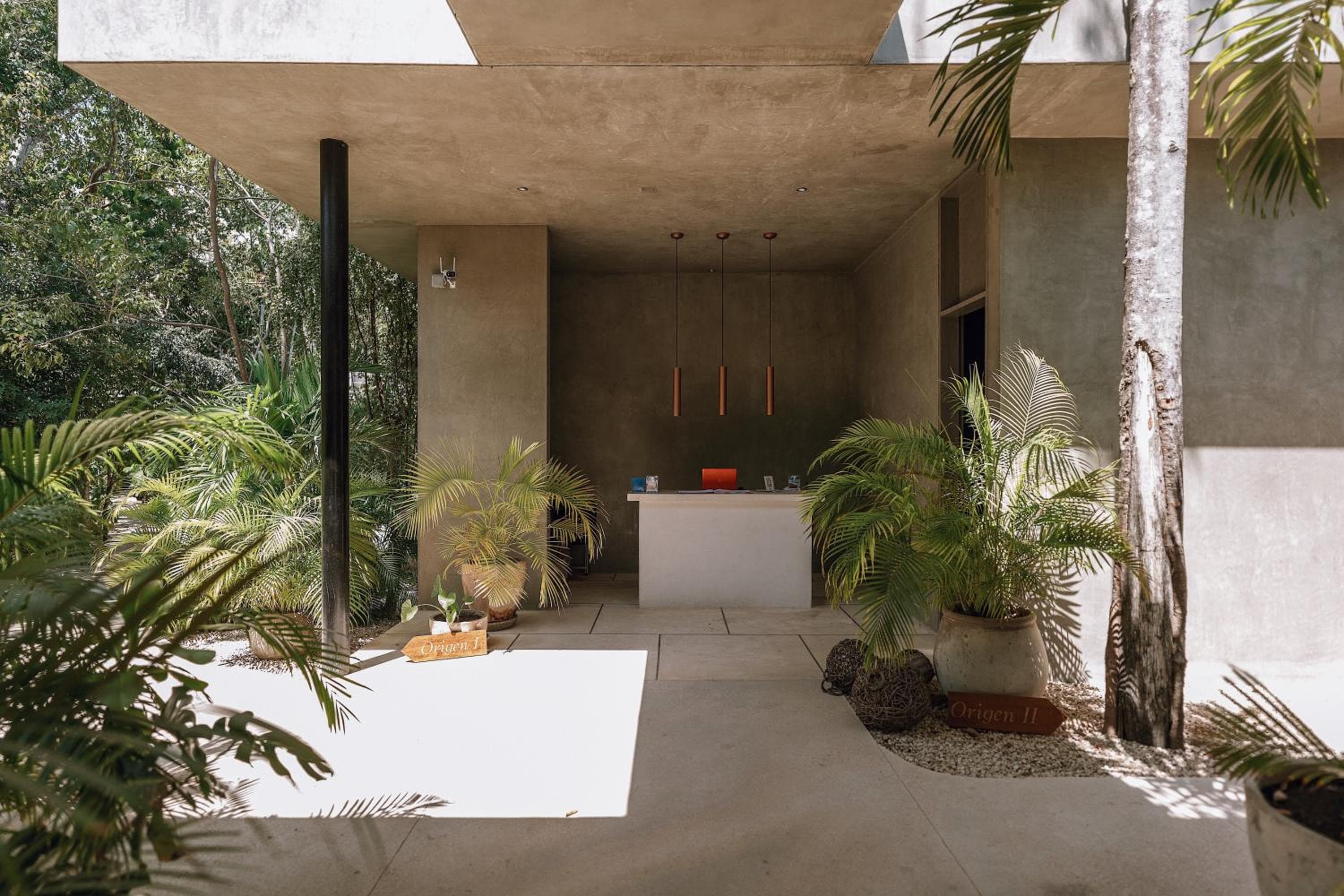 Seremonia Studios by Vida de Playa Rentals — 7
