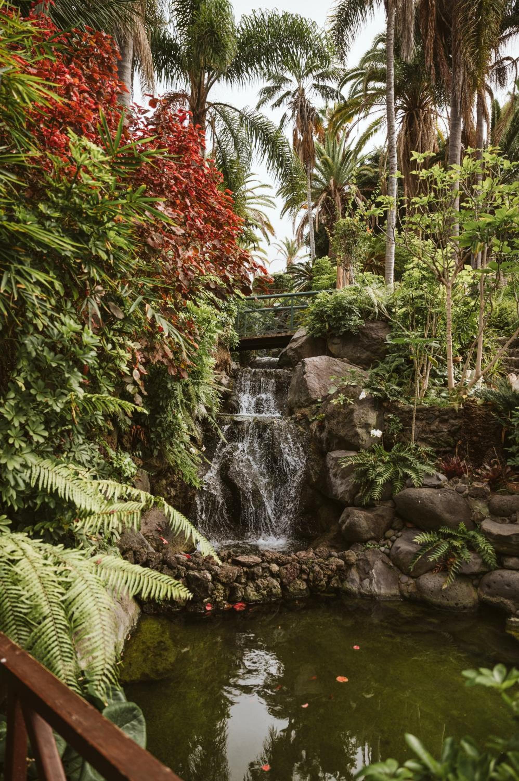 Precise Resort Tenerife — 4