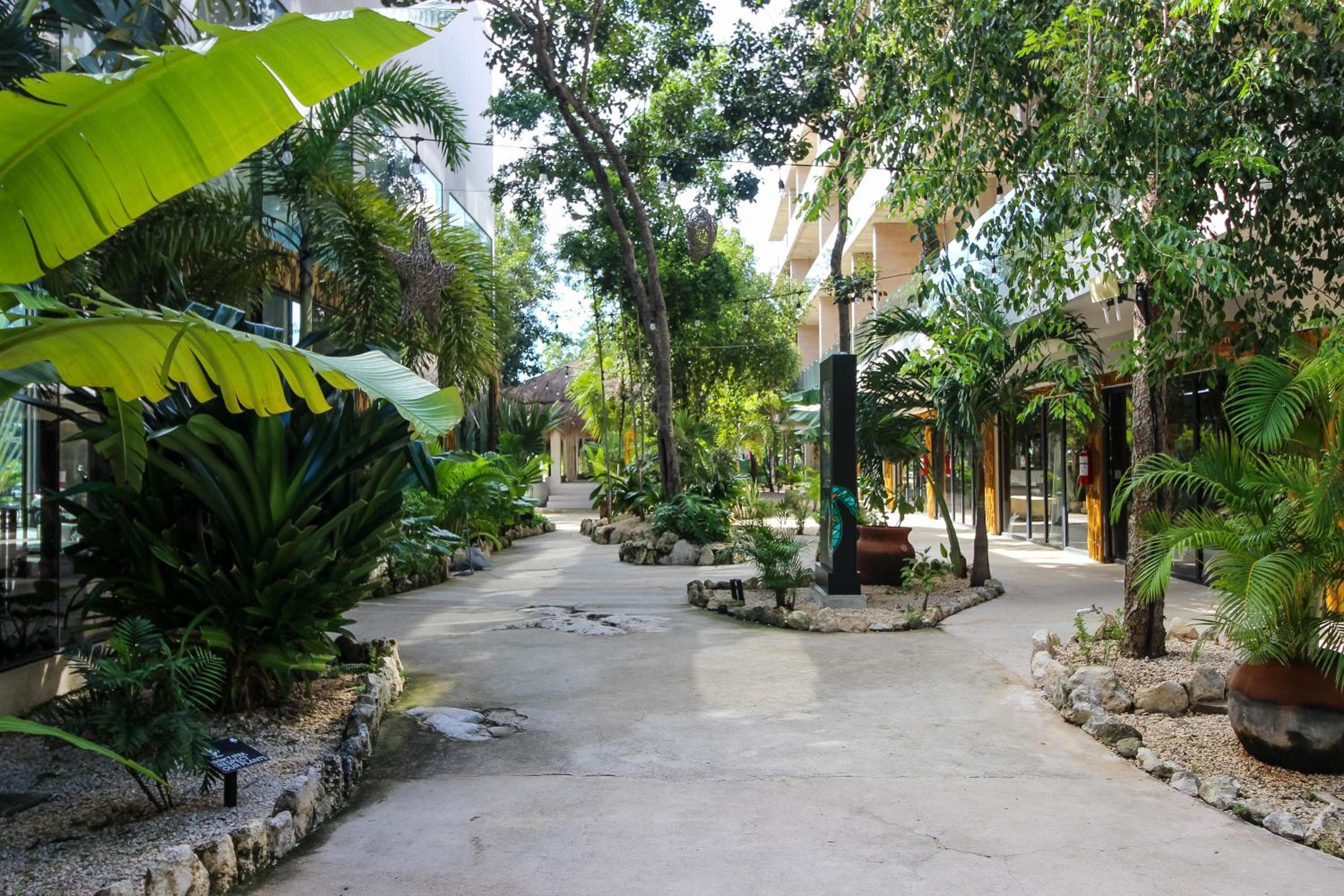 Top Location Studio with Rooftop Pool, Gym and Padel Court — 3