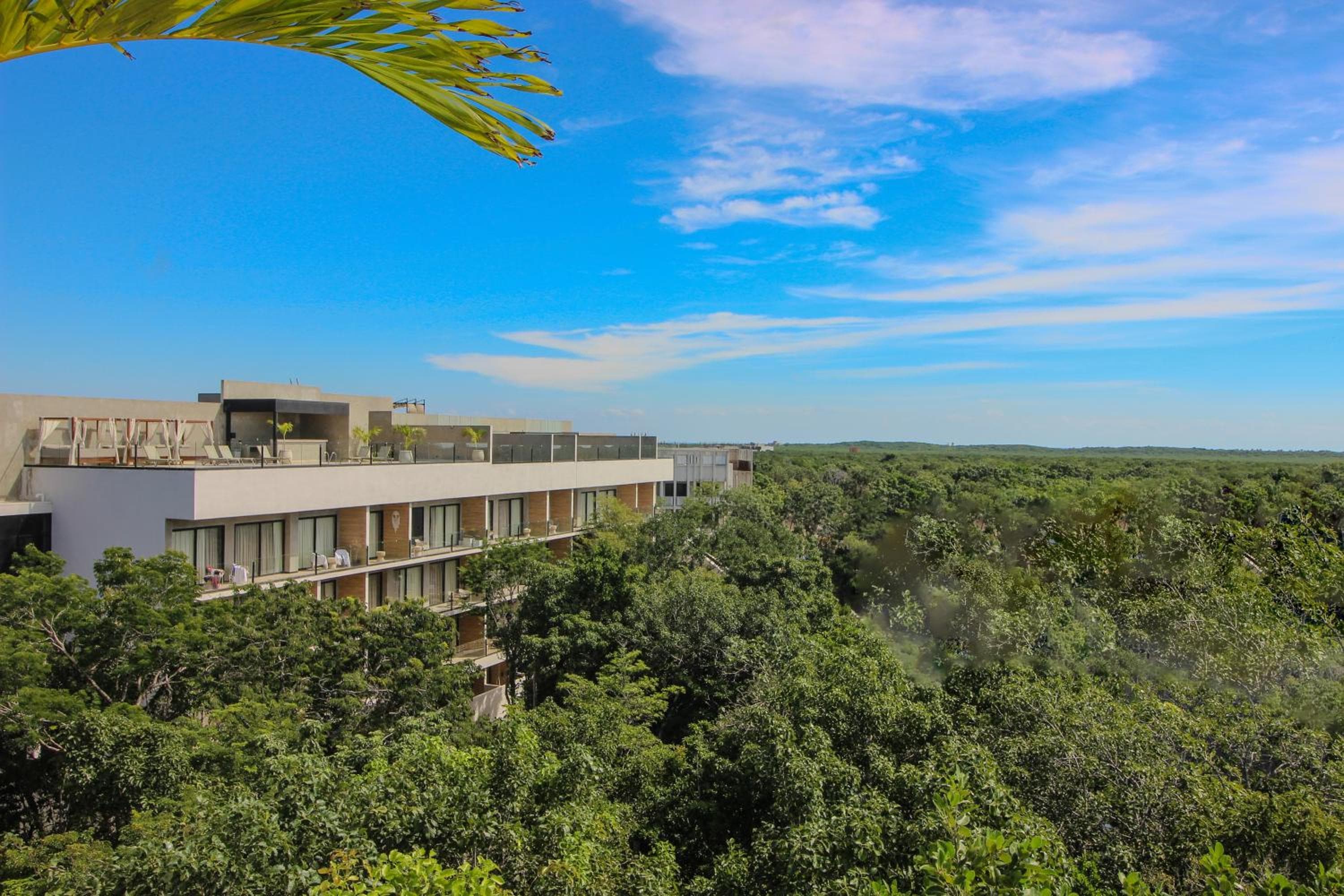 Modernes Studio mit Dachpool im Zentrum von Tulum — 1