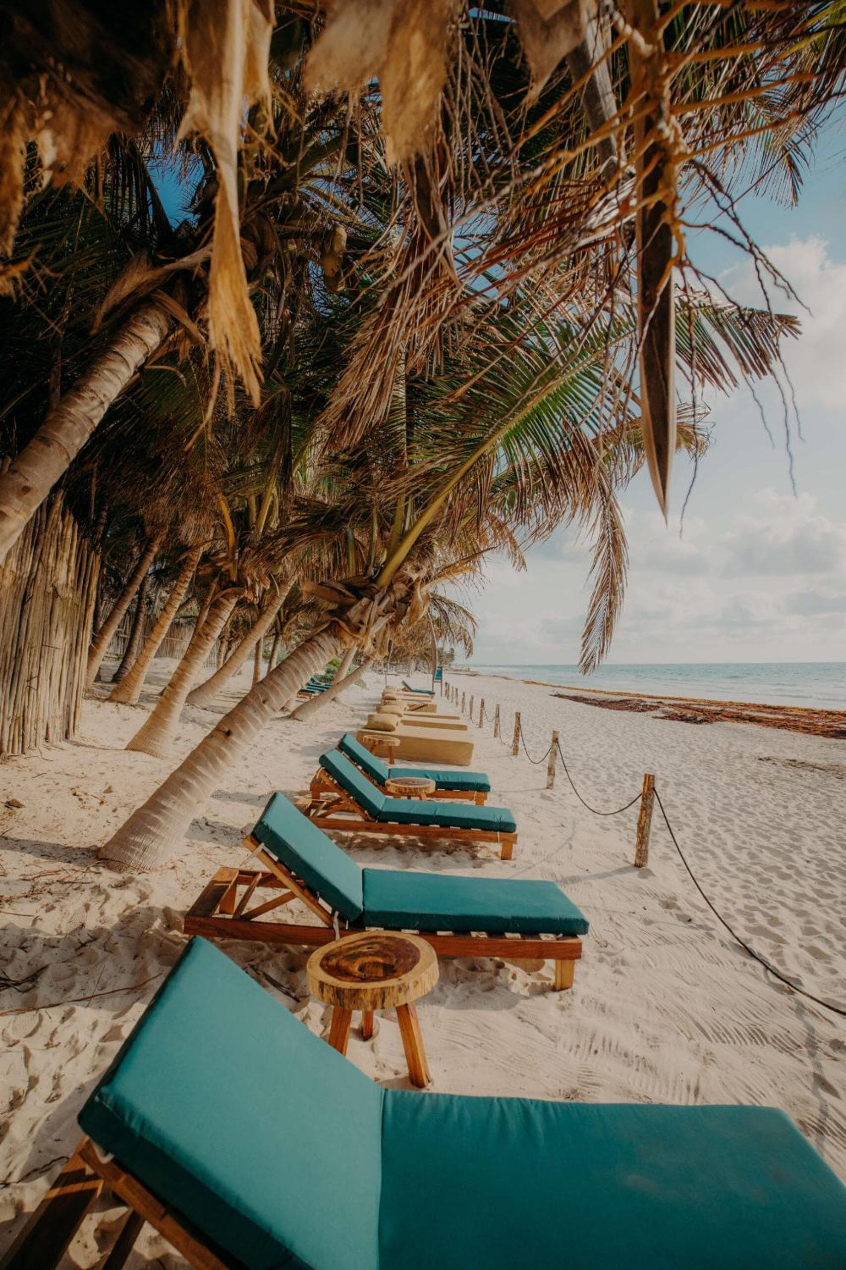 Top Location Studio with Rooftop Pool, Gym and Padel Court — 24