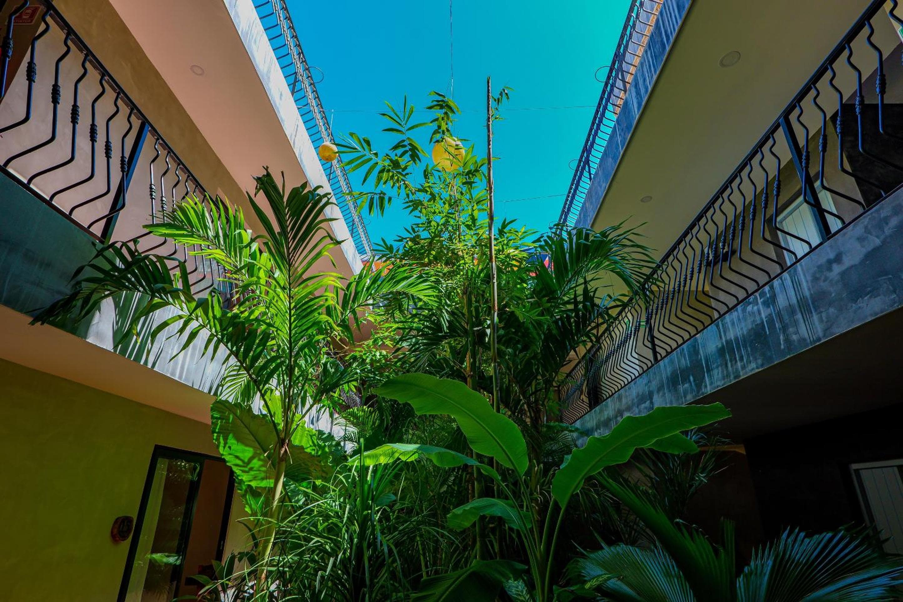Calea Tulum — 20