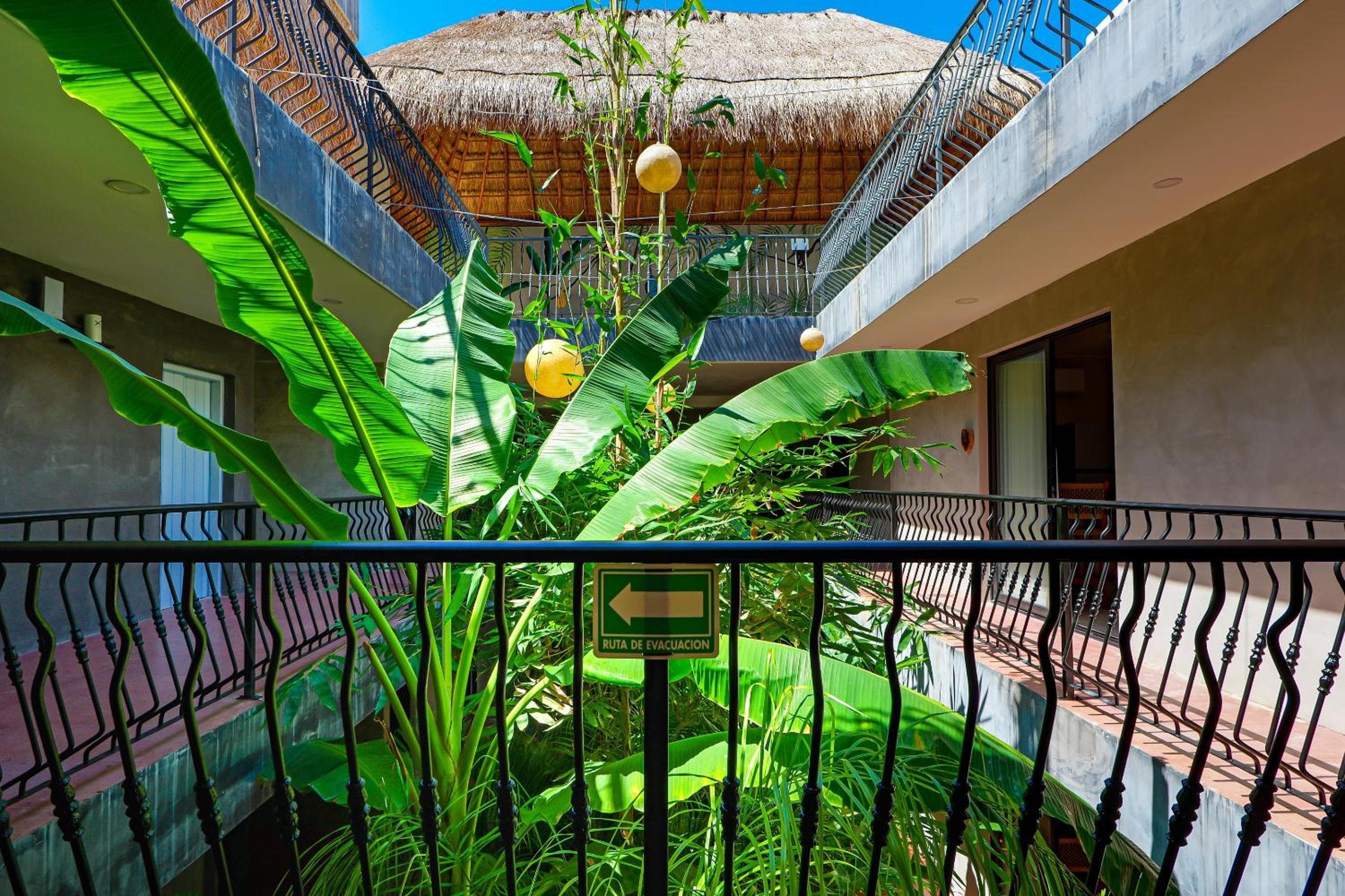 Calea Tulum — 19