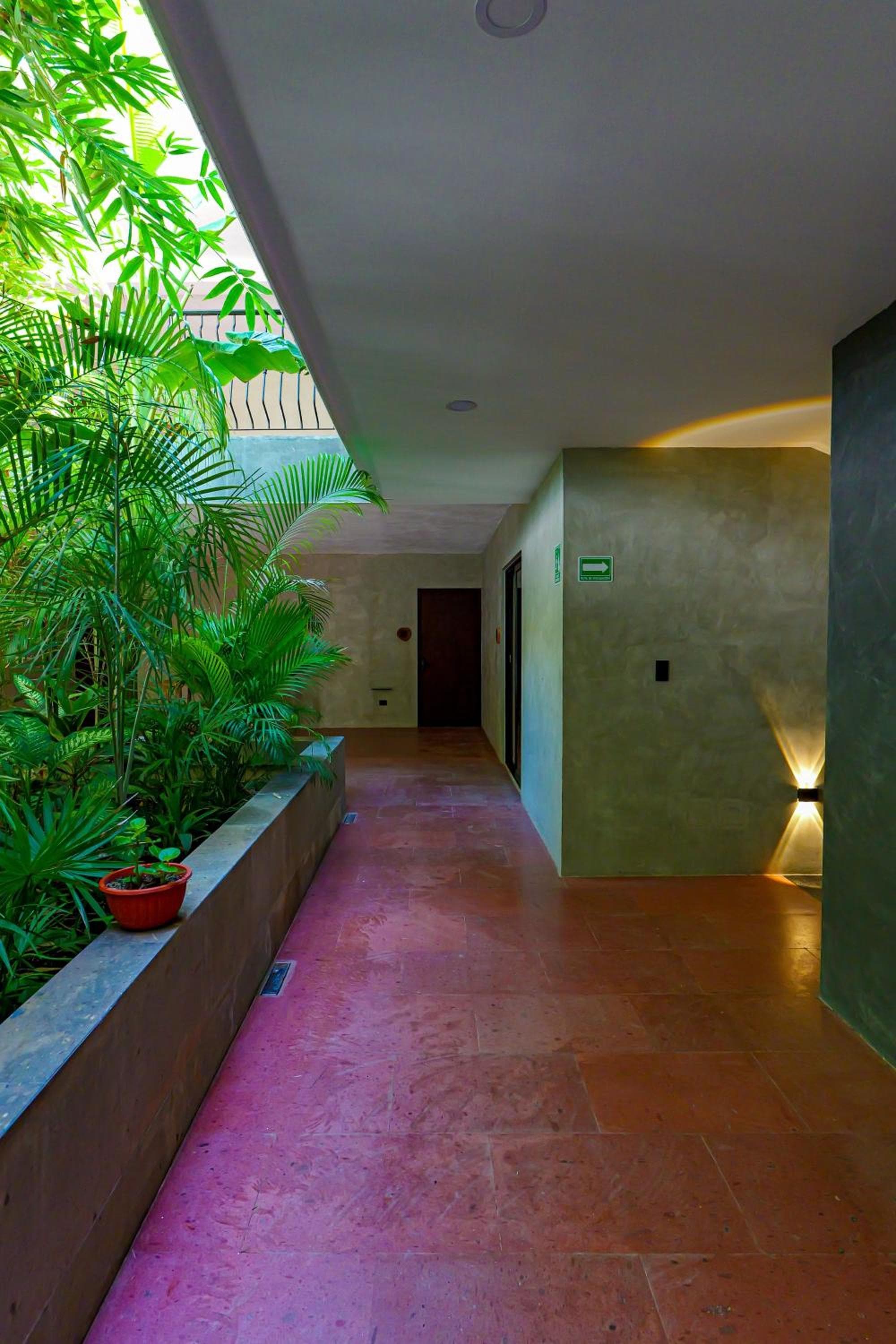 Calea Tulum — 17