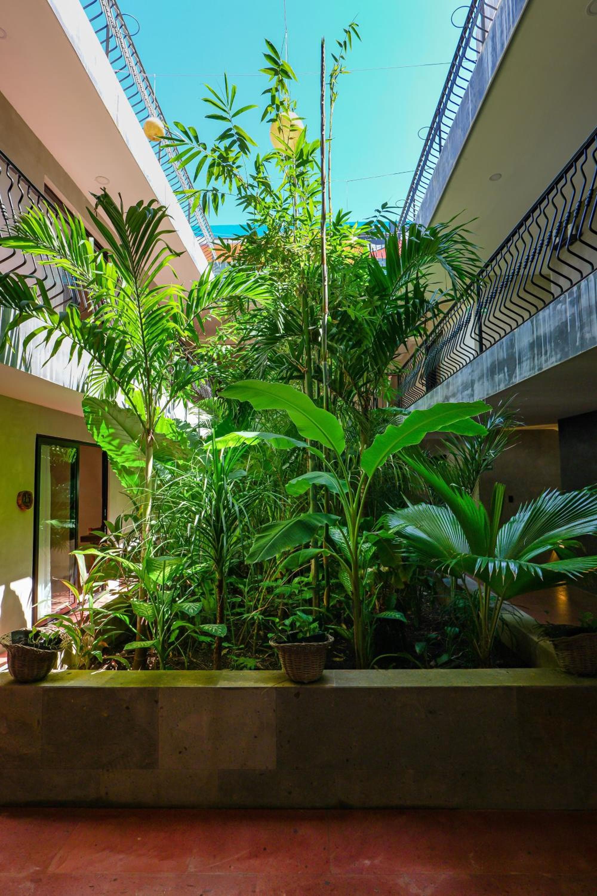 Calea Tulum — 16