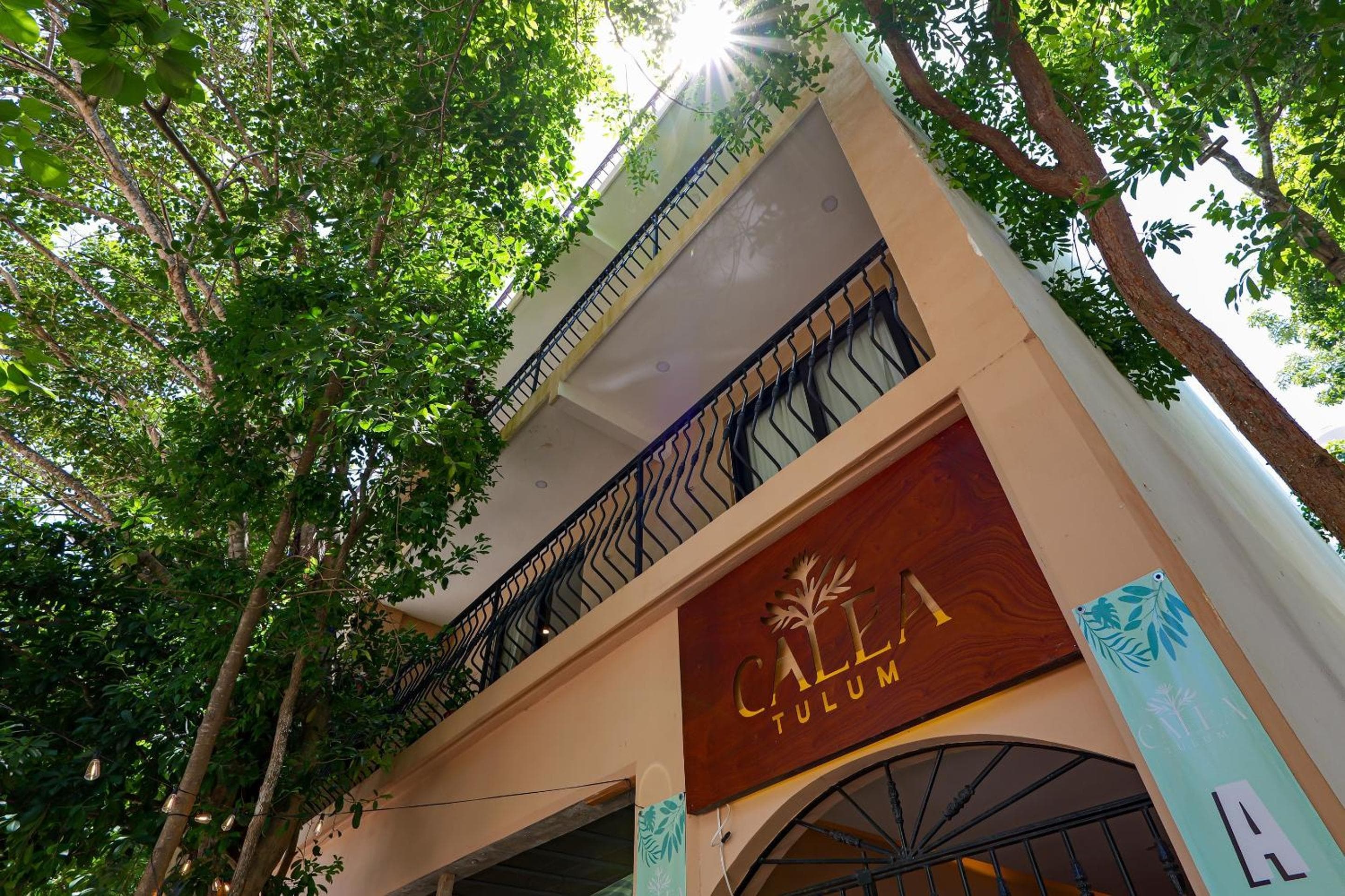 Calea Tulum — 27