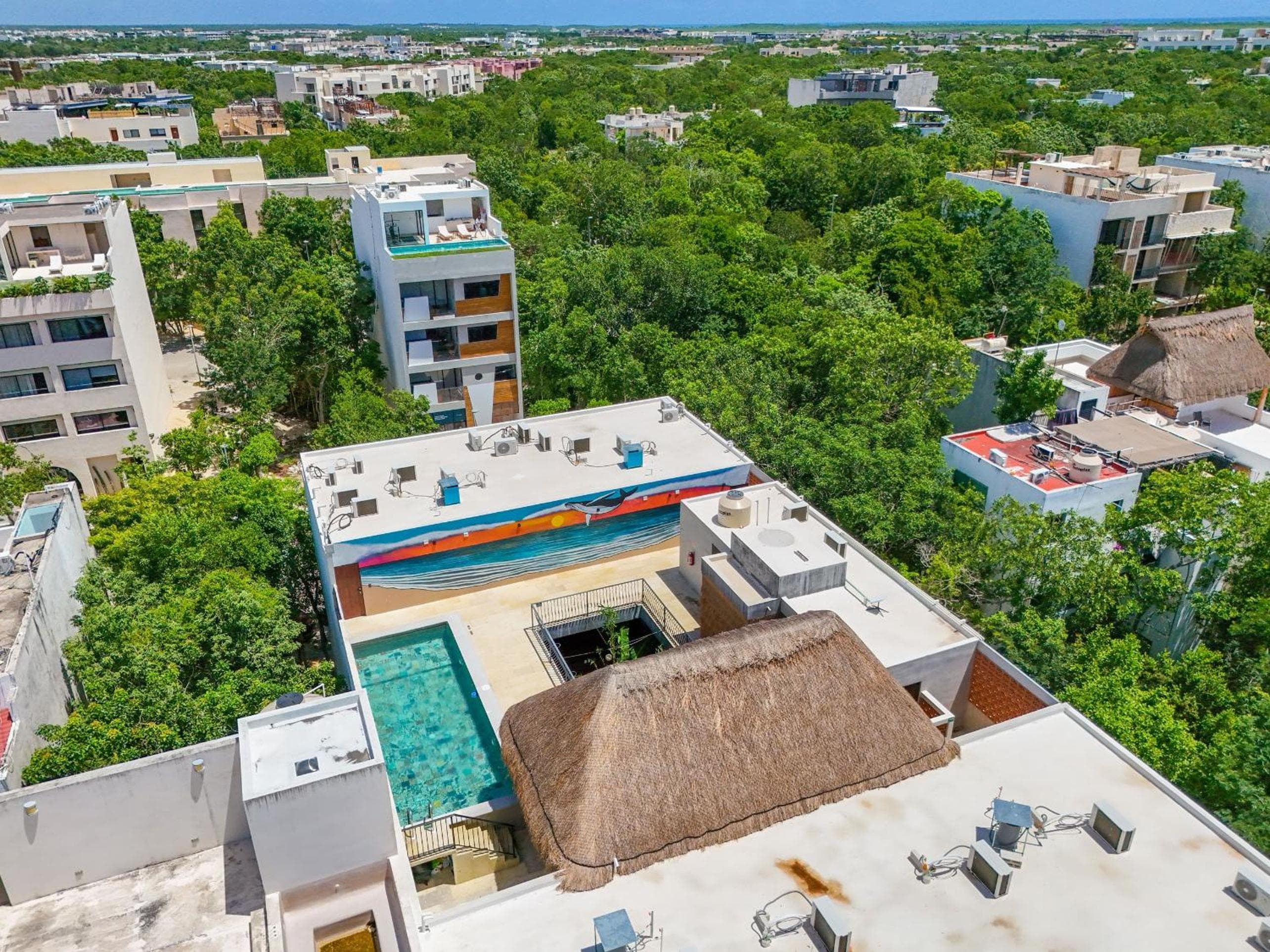Calea Tulum — 29