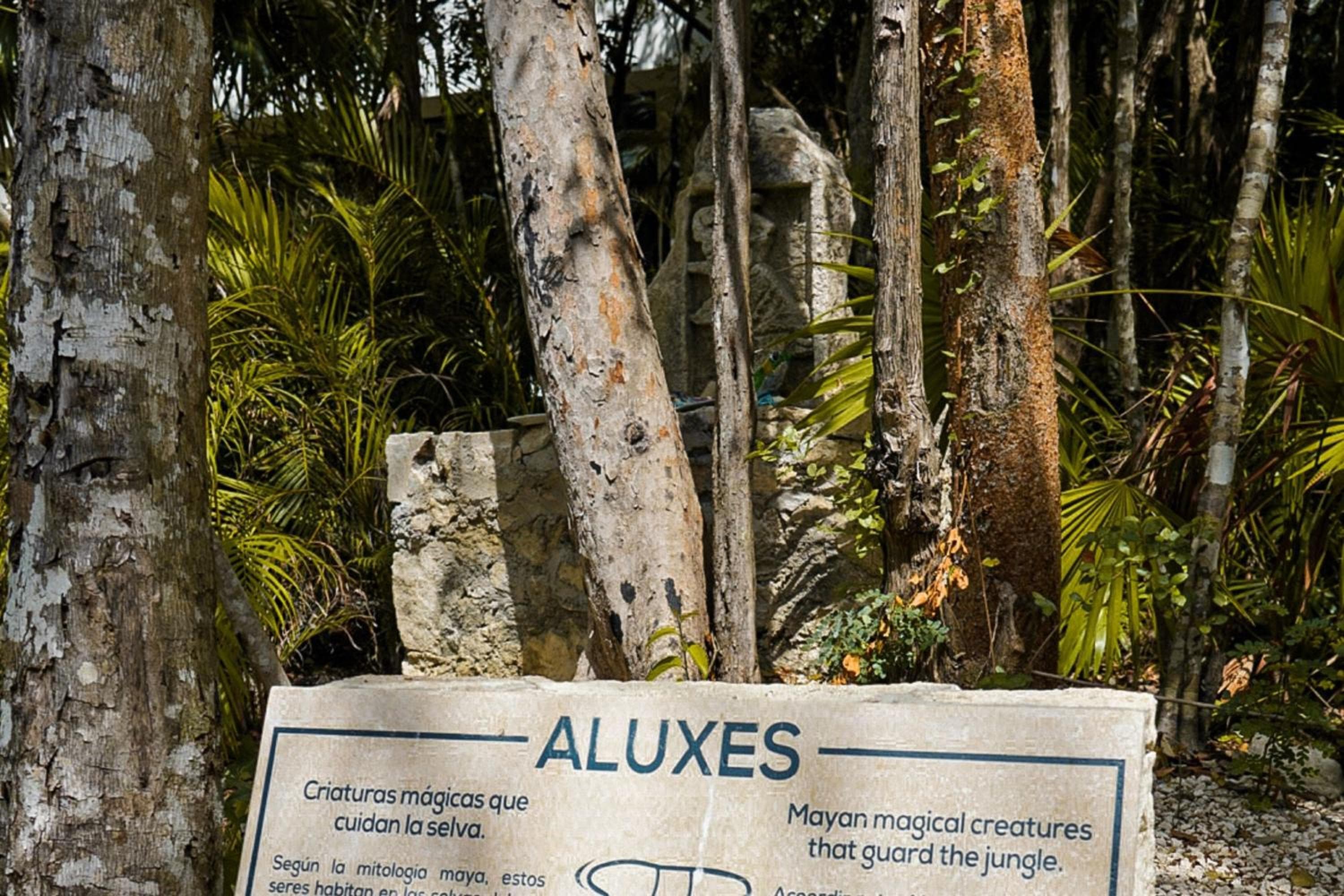 Aloft Tulum — 3