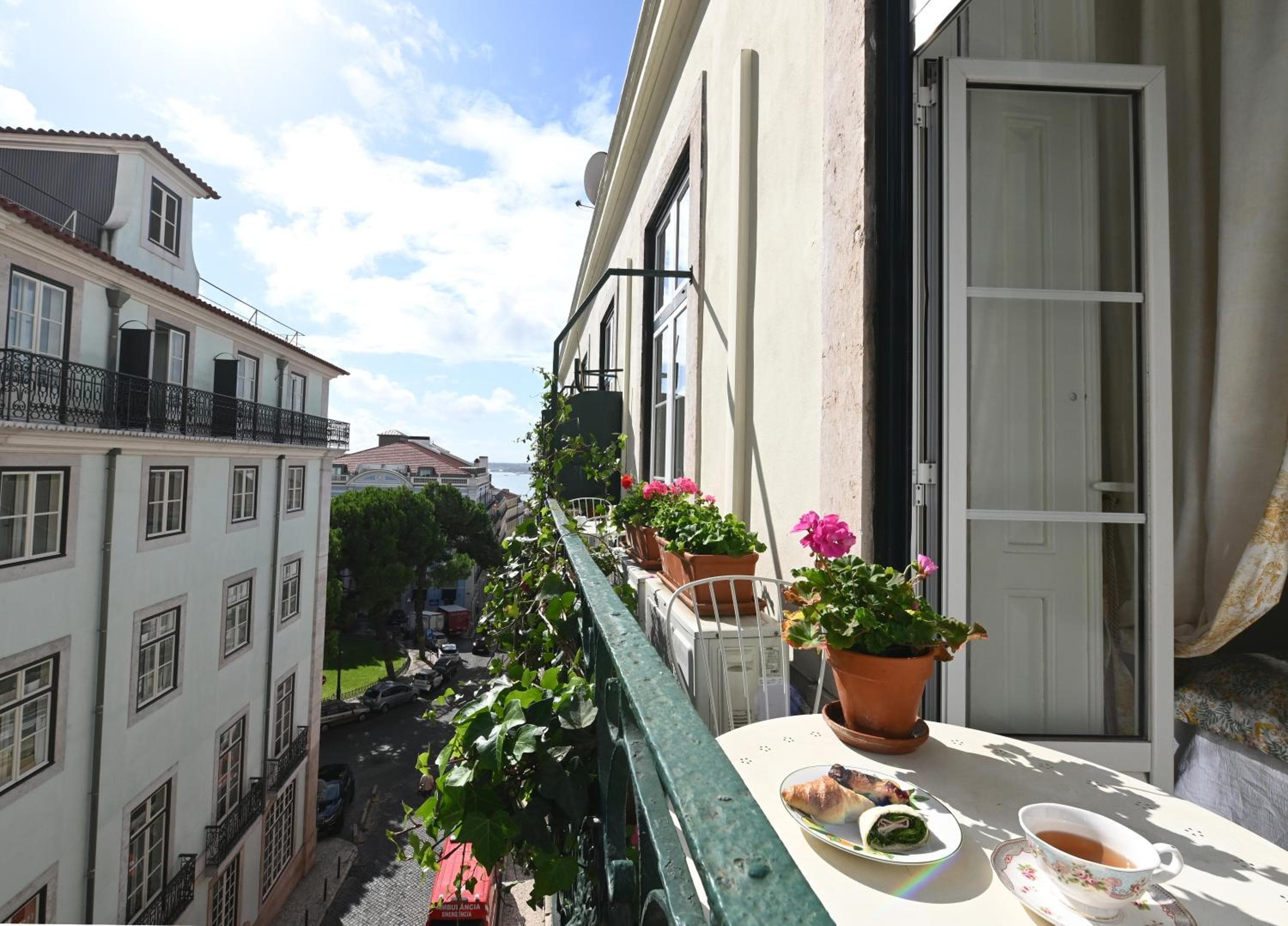 Casa de flores — 9