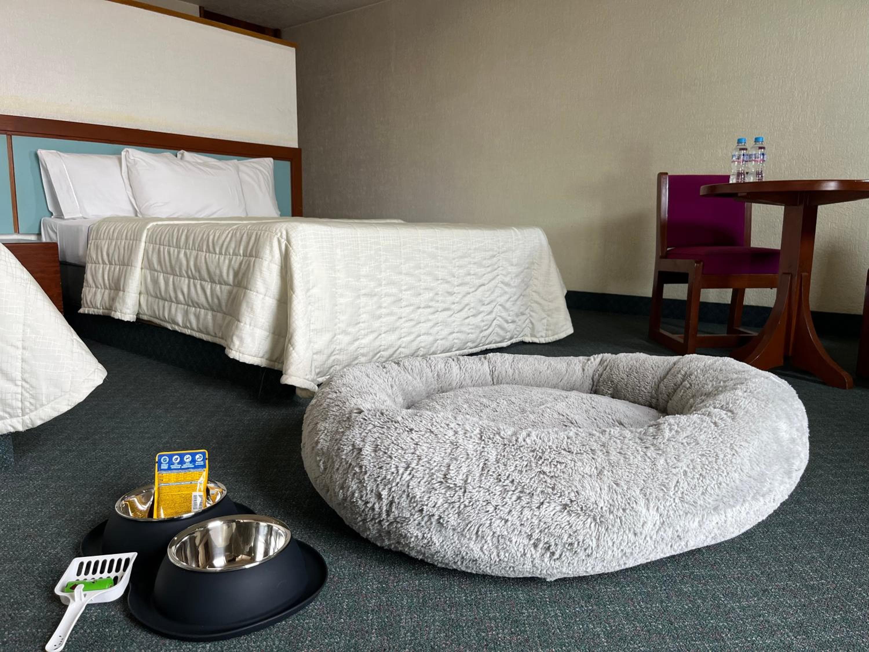 Hotel Lepanto Reforma — 23