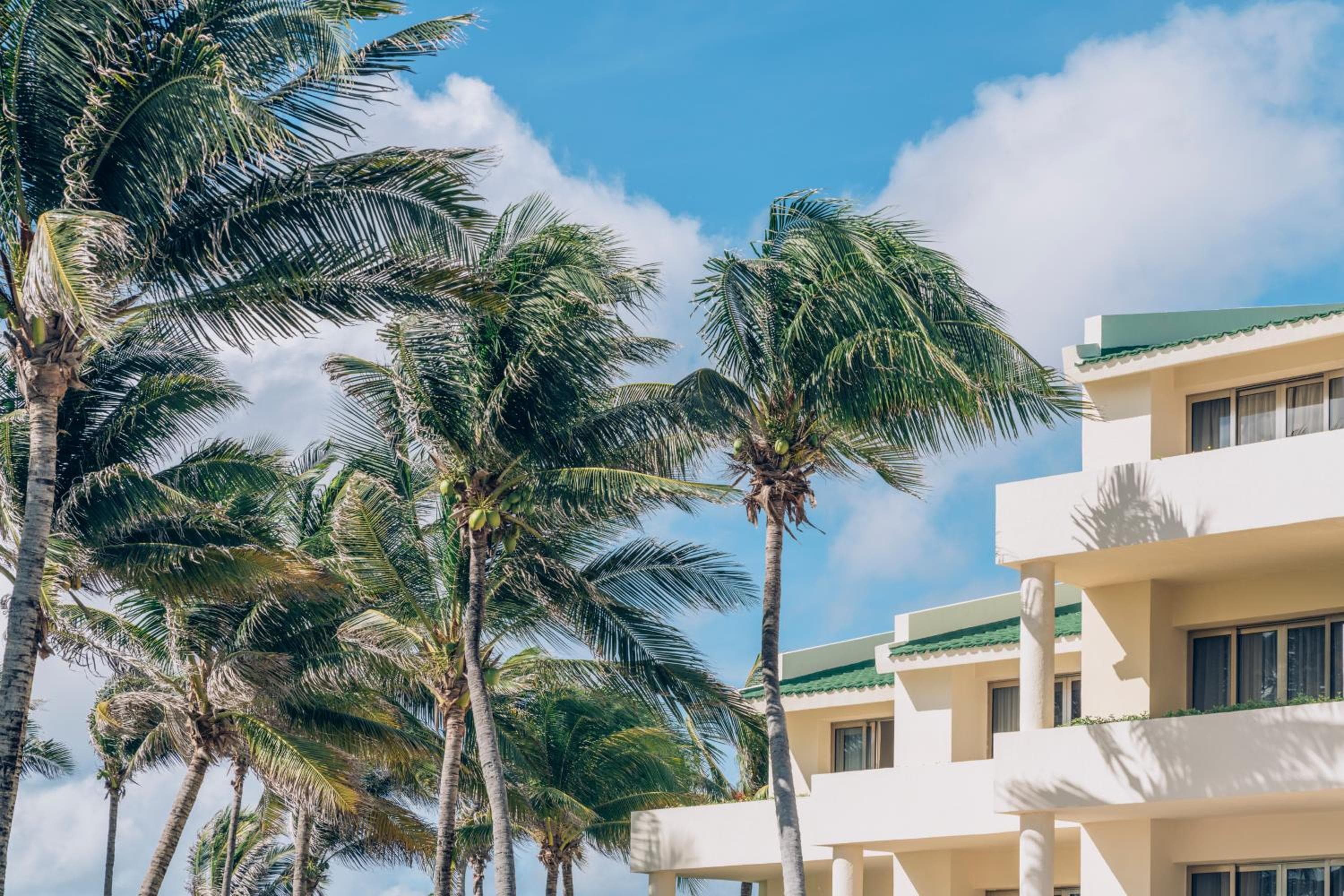 Selezione Iberostar Cancun — 15