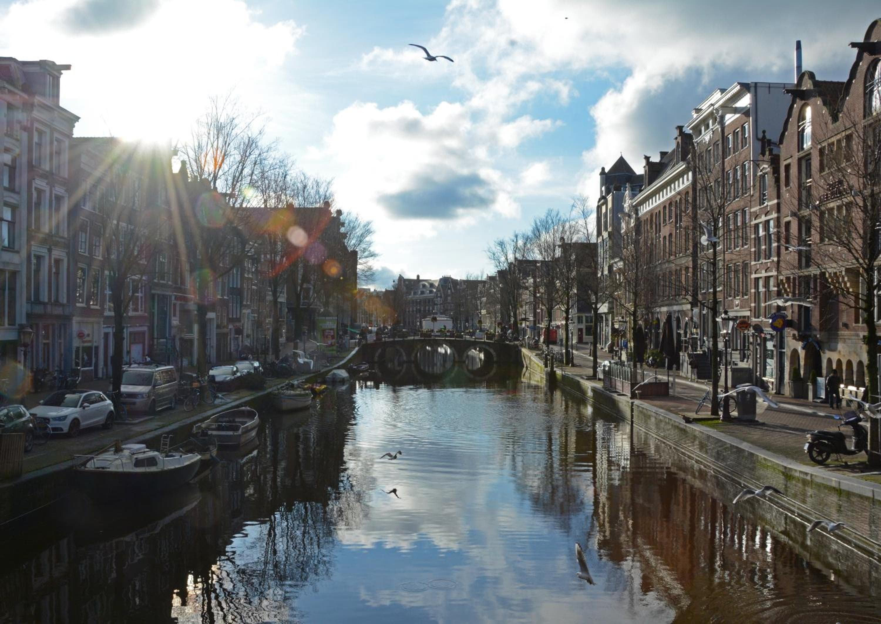 Casa ELLE Ámsterdam — 27