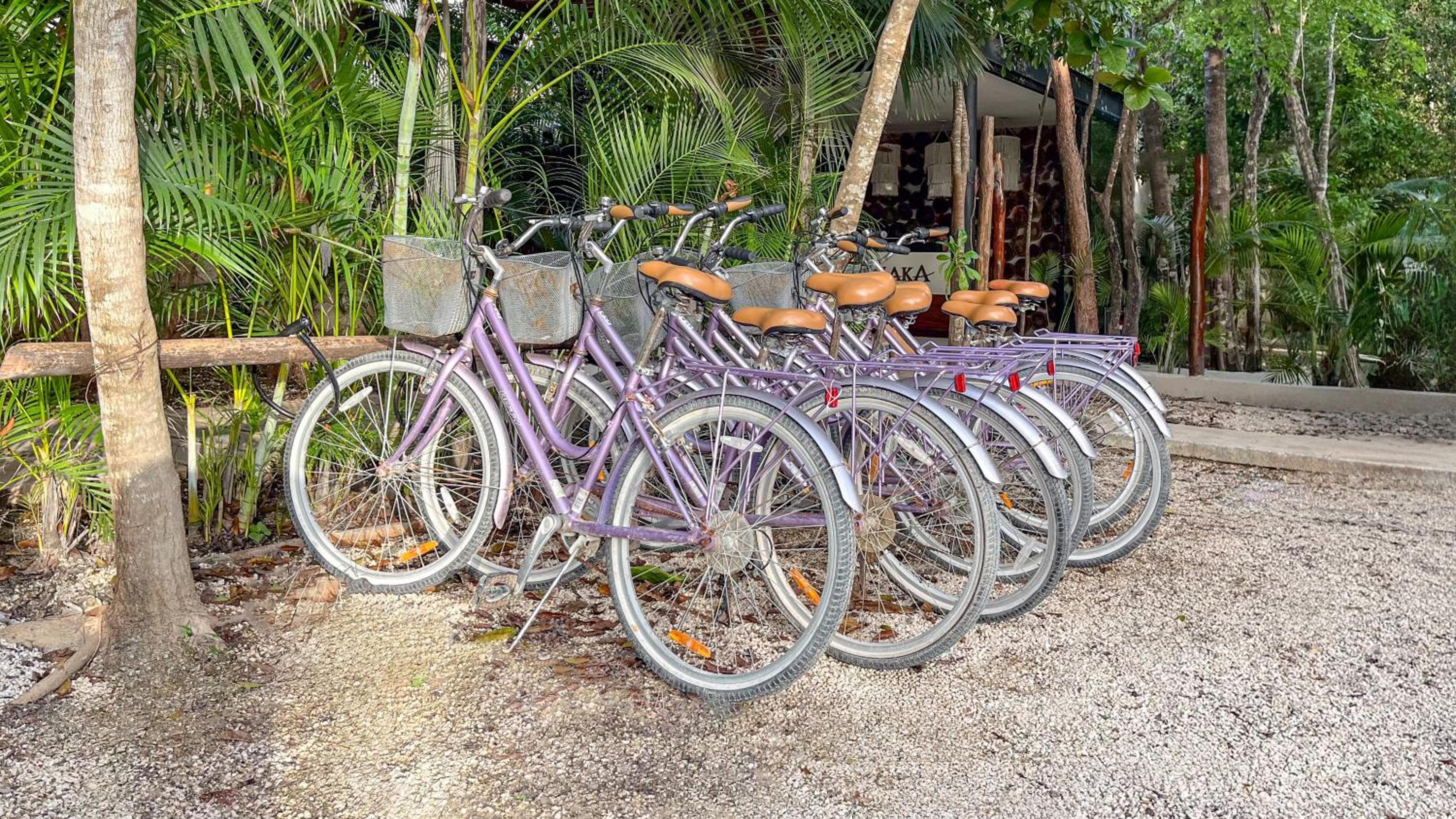 Lo llaman Calma Tulum. — 14