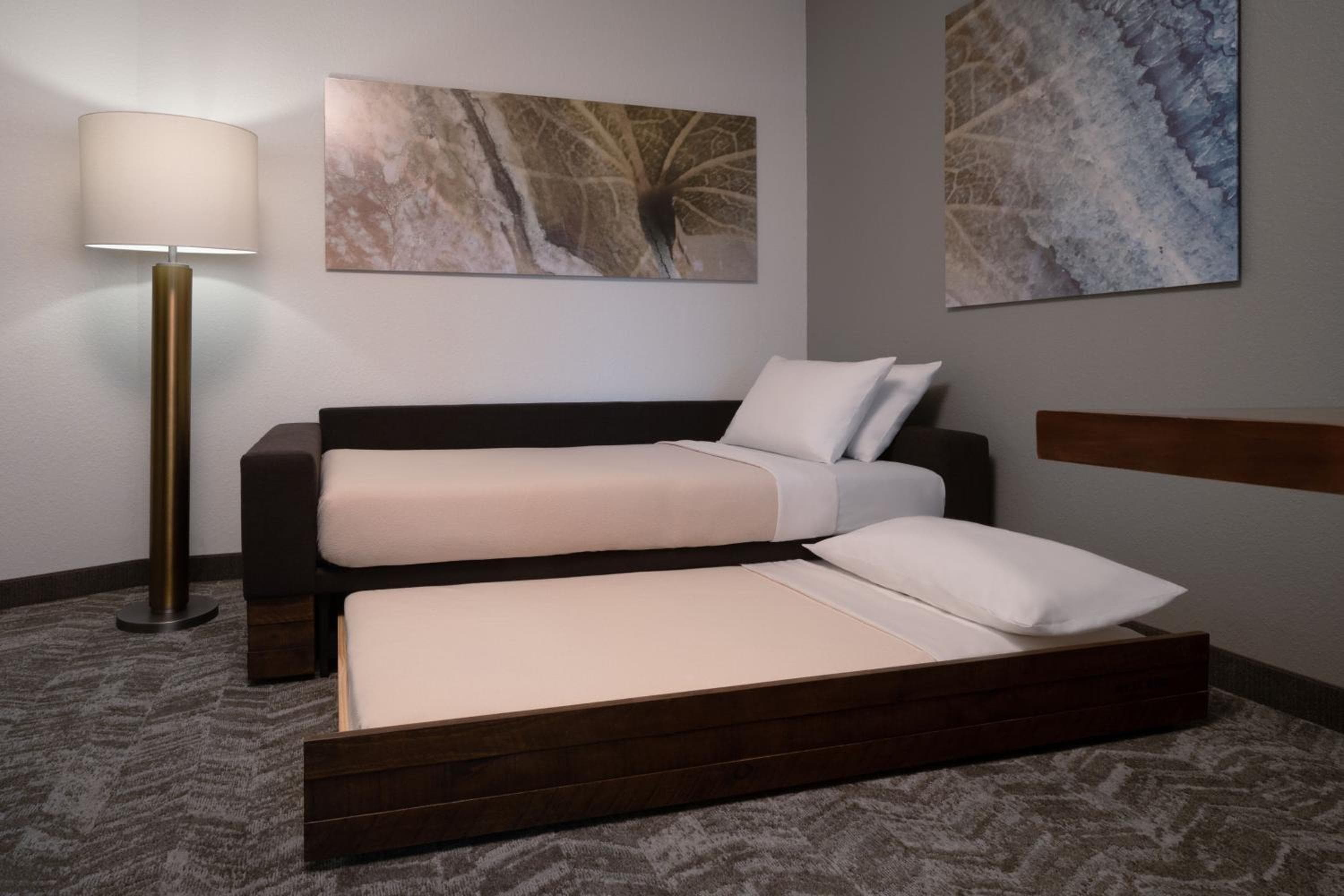 SpringHill Suites by Marriott Orlando presso FLAMINGO CROSSINGS centro città-ingresso occidentale — 14