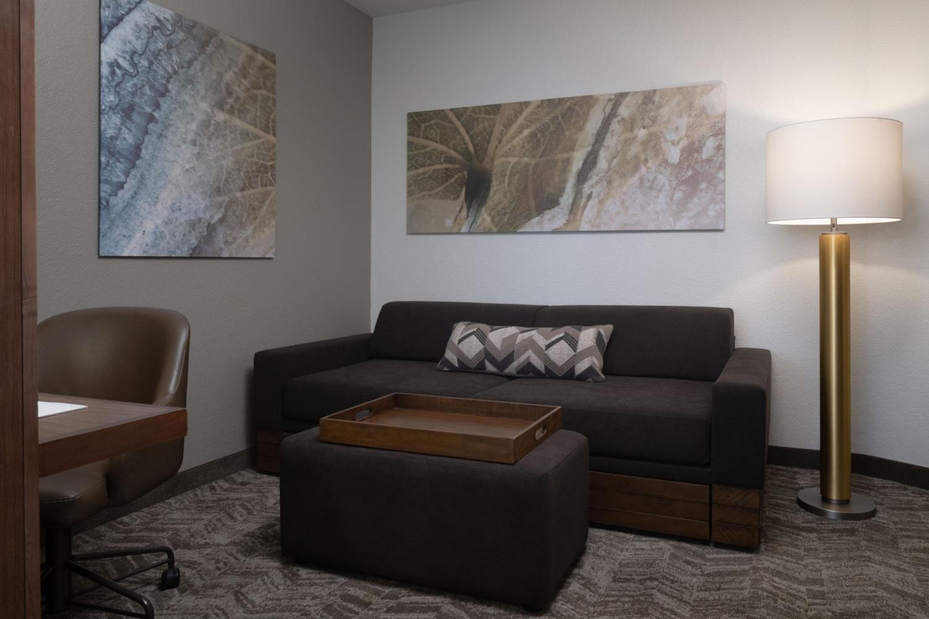 SpringHill Suites by Marriott Orlando presso FLAMINGO CROSSINGS centro città-ingresso occidentale — 13