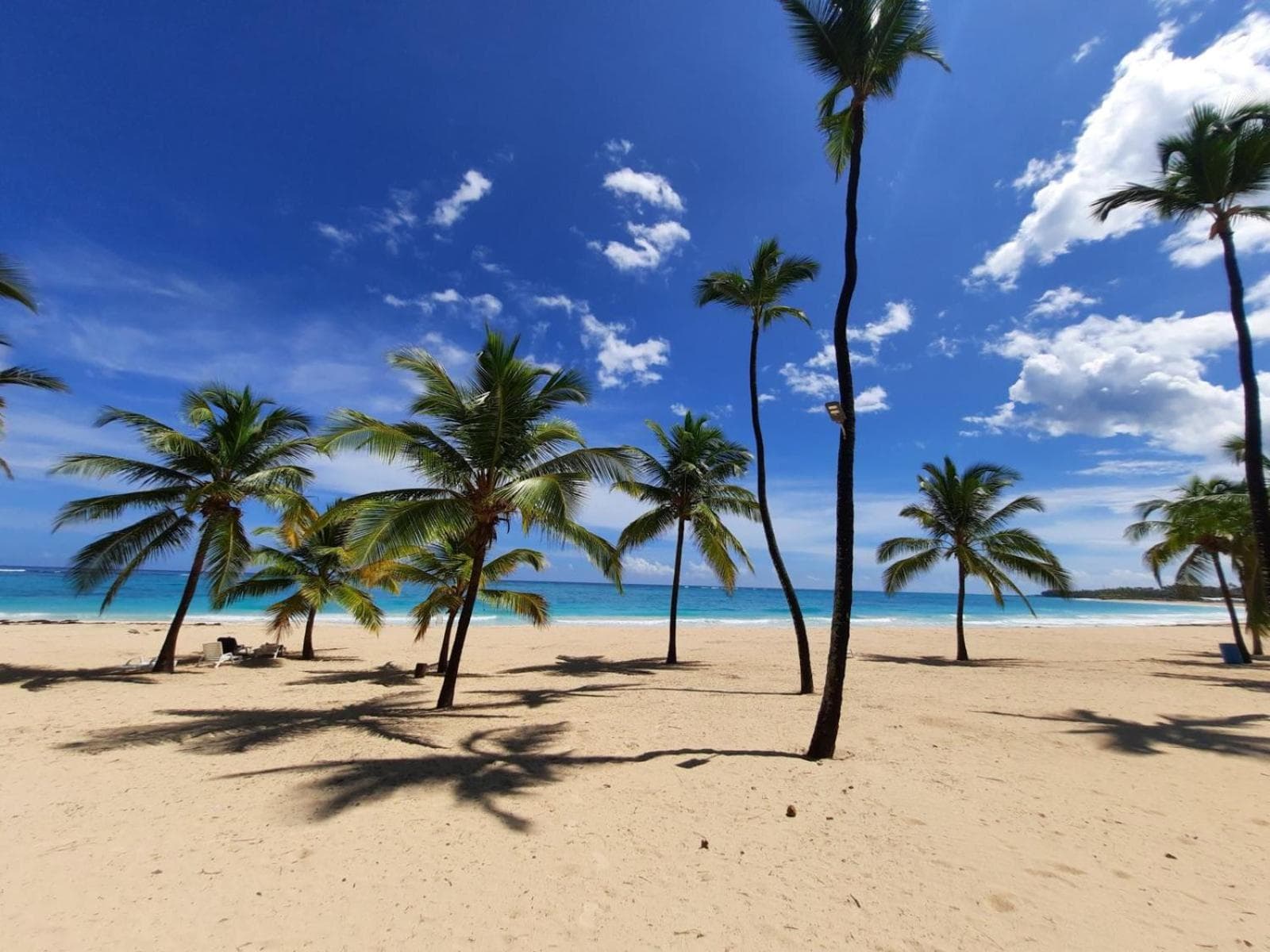 Palms 302 - Rooftop Privat Pool 2BR Appartement mit Beach Shuttle — 25