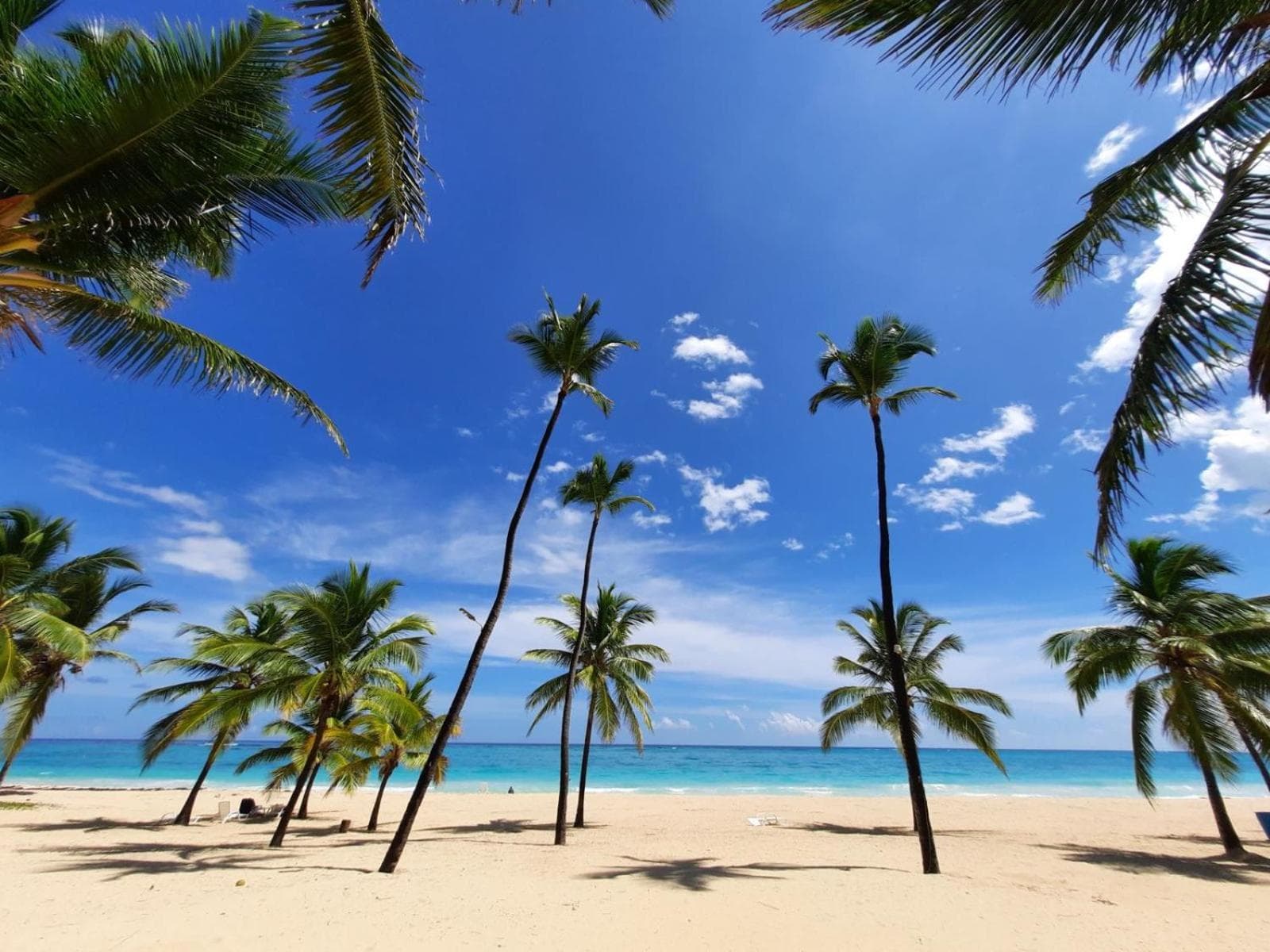 Palms 302 - Rooftop Privat Pool 2BR Appartement mit Beach Shuttle — 30
