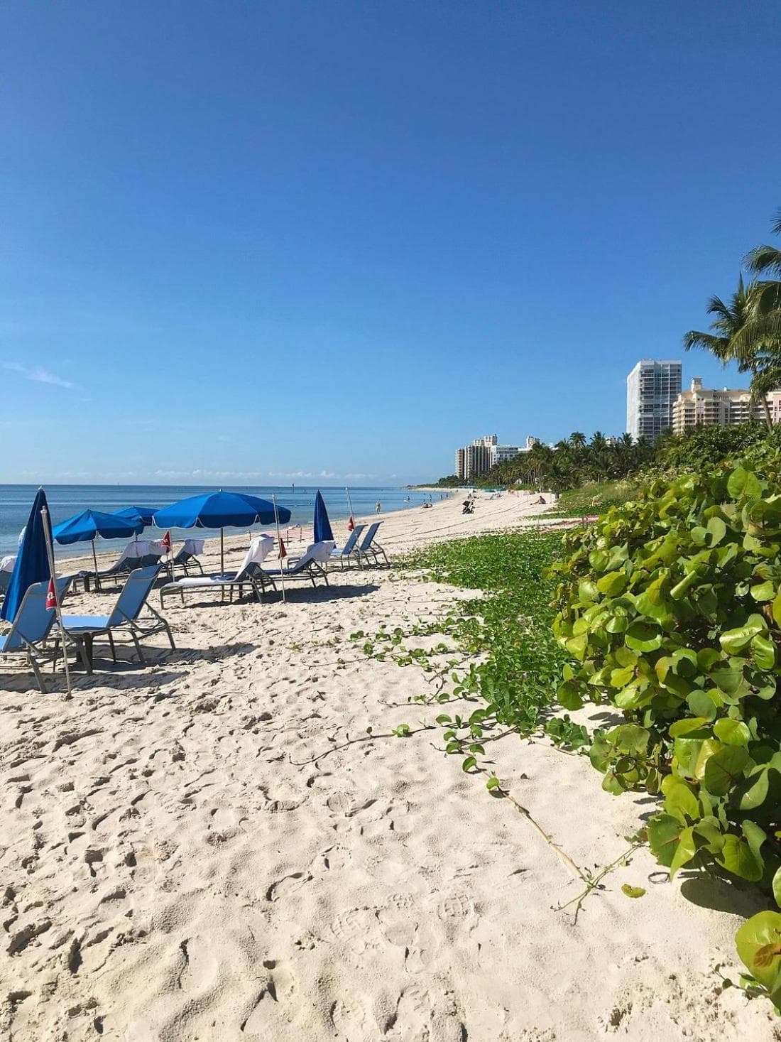 Studio Located at The Ritz Carlton Key Biscayne, Miami — 20