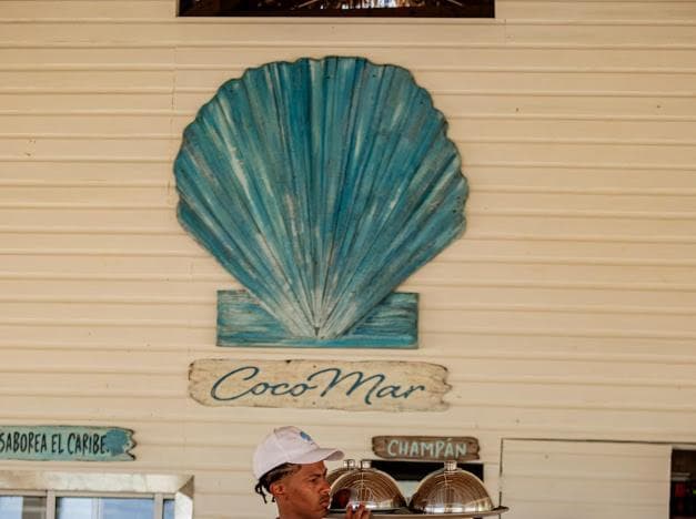 Playa Palmera Ocean View — 12