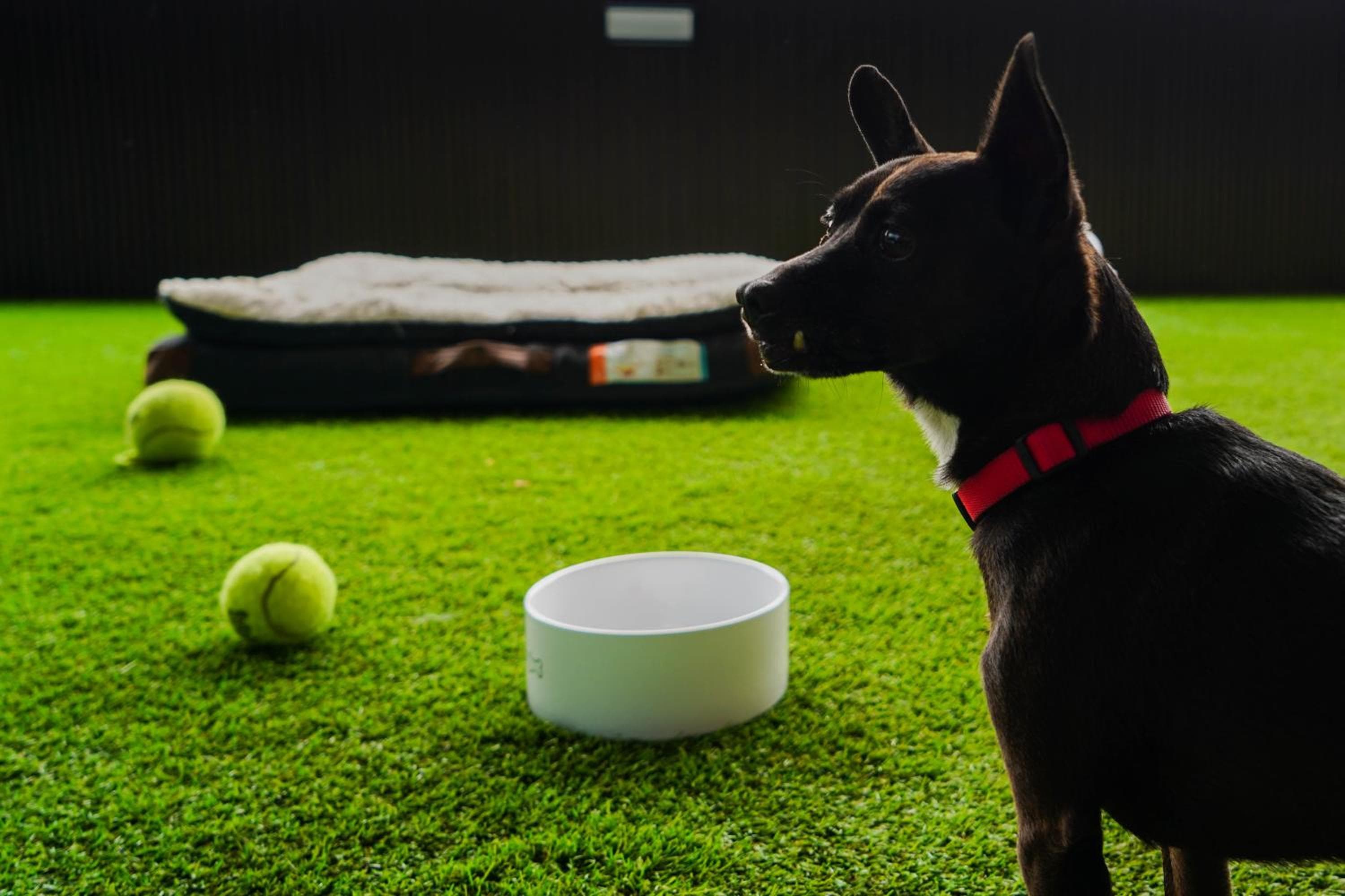 Courtyard by Marriott Mexico City Airport hotel, Sinaloa 31, Penon de los Banos, Mexico City, Mexico — photo 10