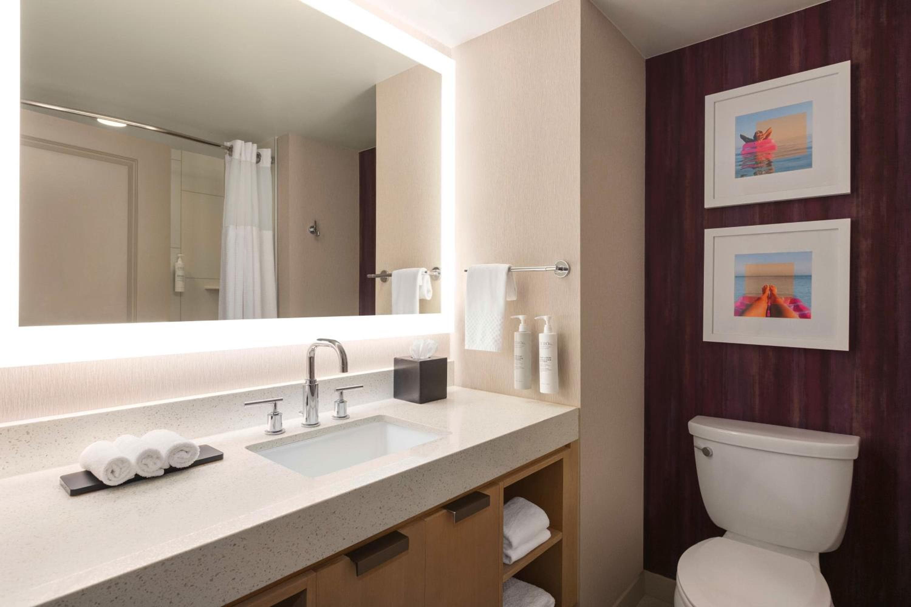 Embassy Suites by Hilton Tampa Downtown Convention Center — 27