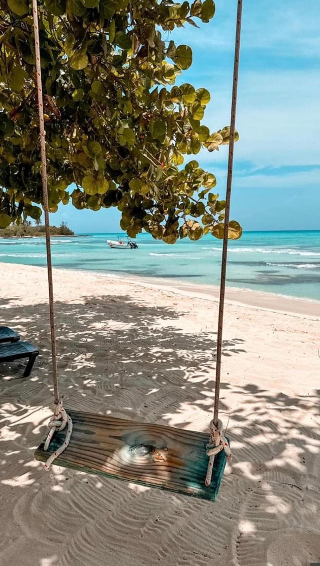 Kimmys paradise — 19