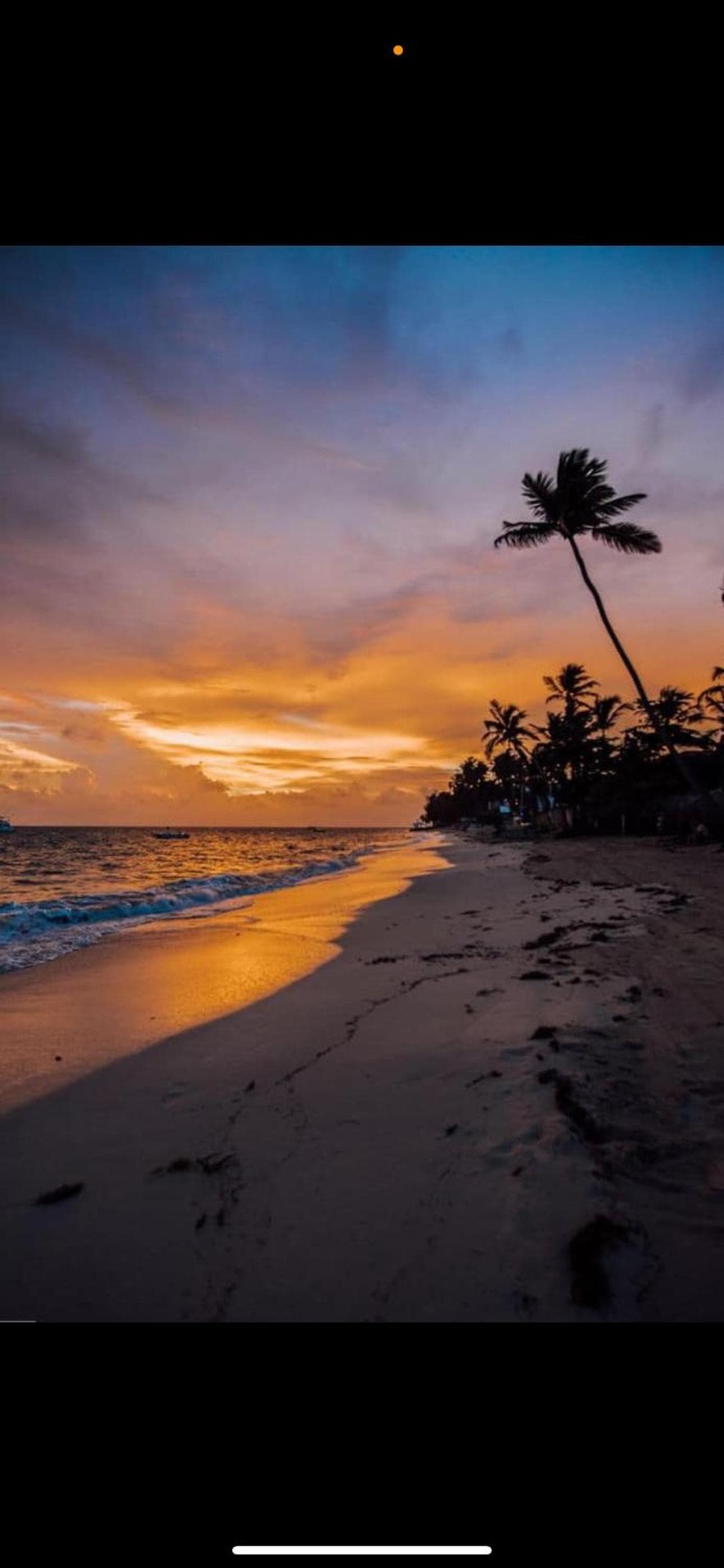 Kimmys paradise — 20