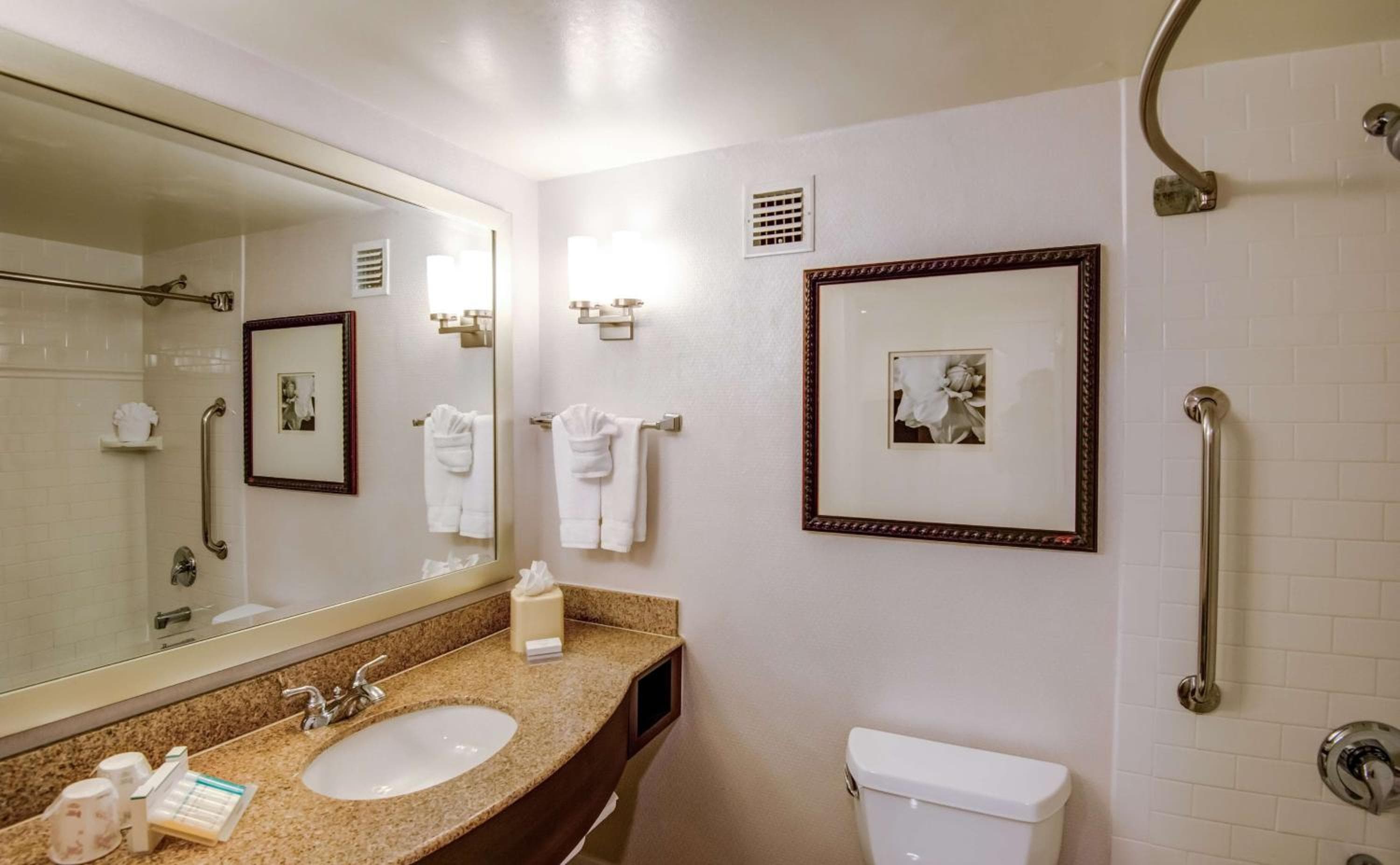 Hilton Garden Inn Tampa Ybor Historic District — 10