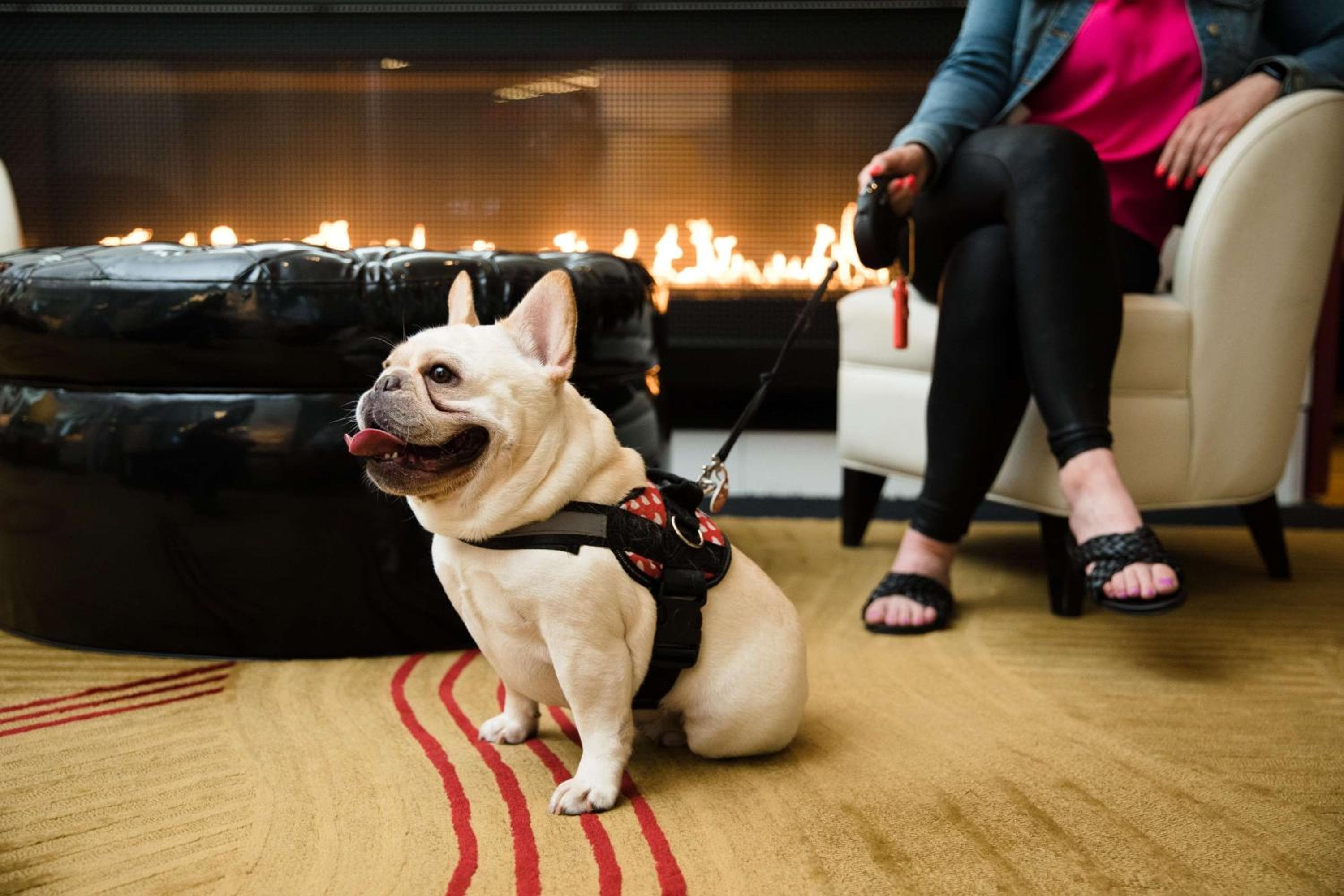 The Royal Sonesta Chicago River North hotel, 505 North State Street, Chicago, United States — photo 9