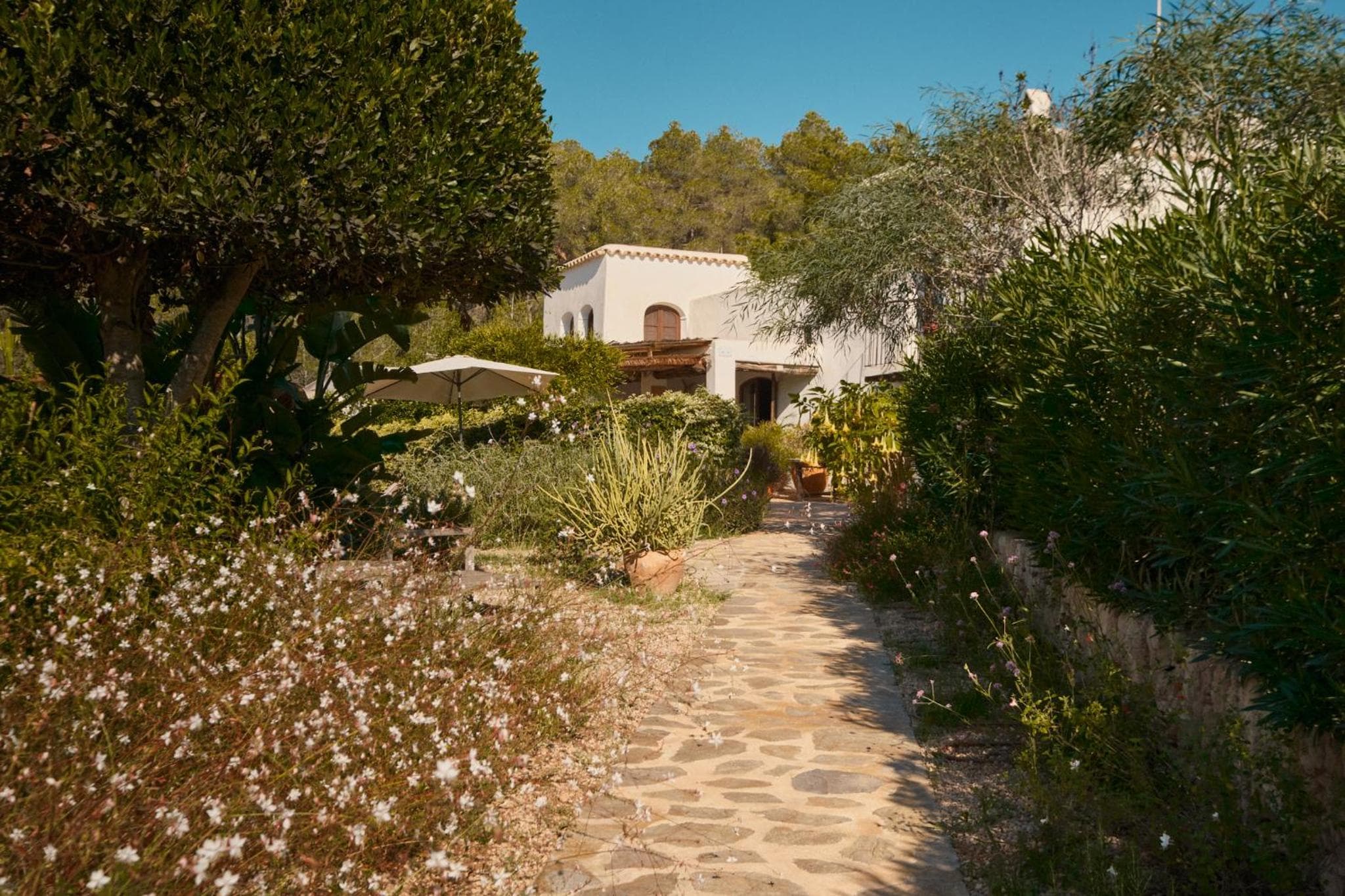 The Guardian House — 7