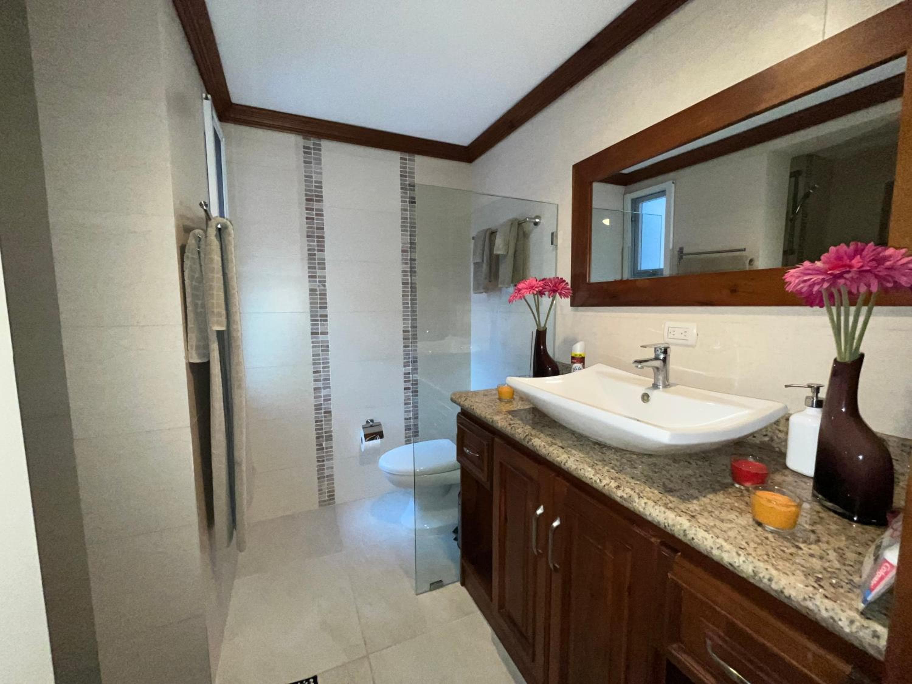 Luxury Beach Penthouse with Pool, BBQ, AC, Wi-Fi, 5-Min Walk to El Cortecito & Bavaro Beaches, Punta Cana — 8